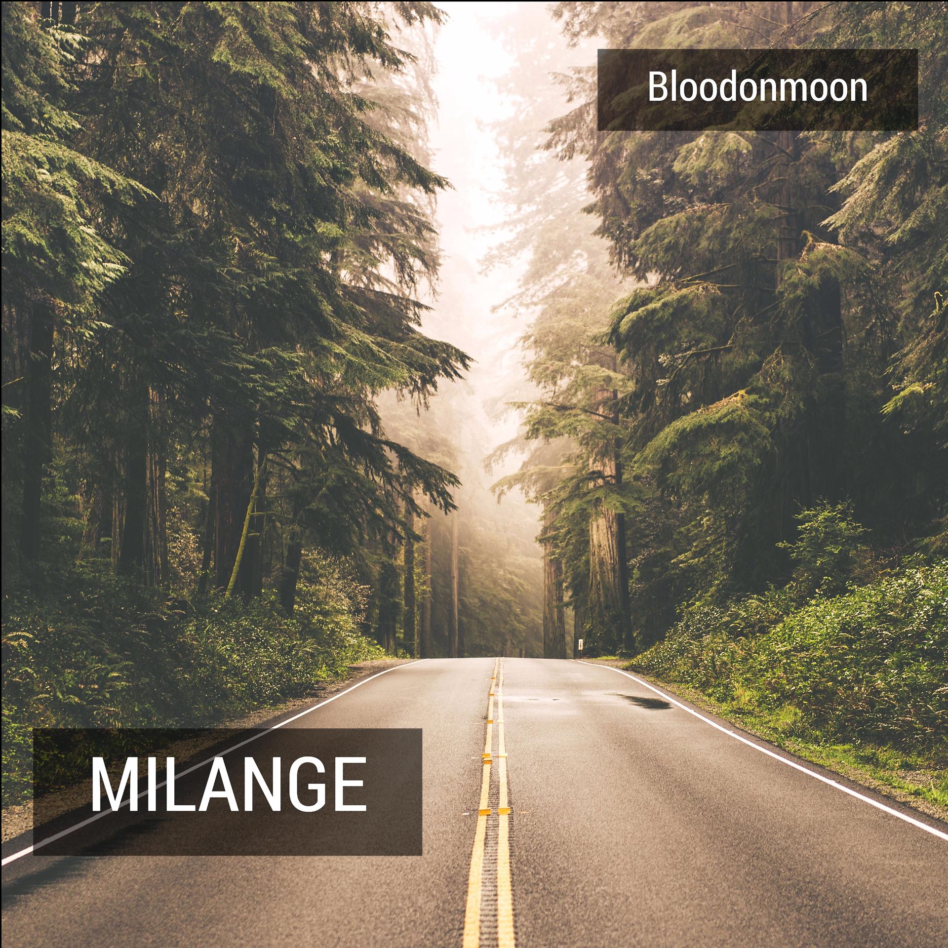 Постер альбома Milange