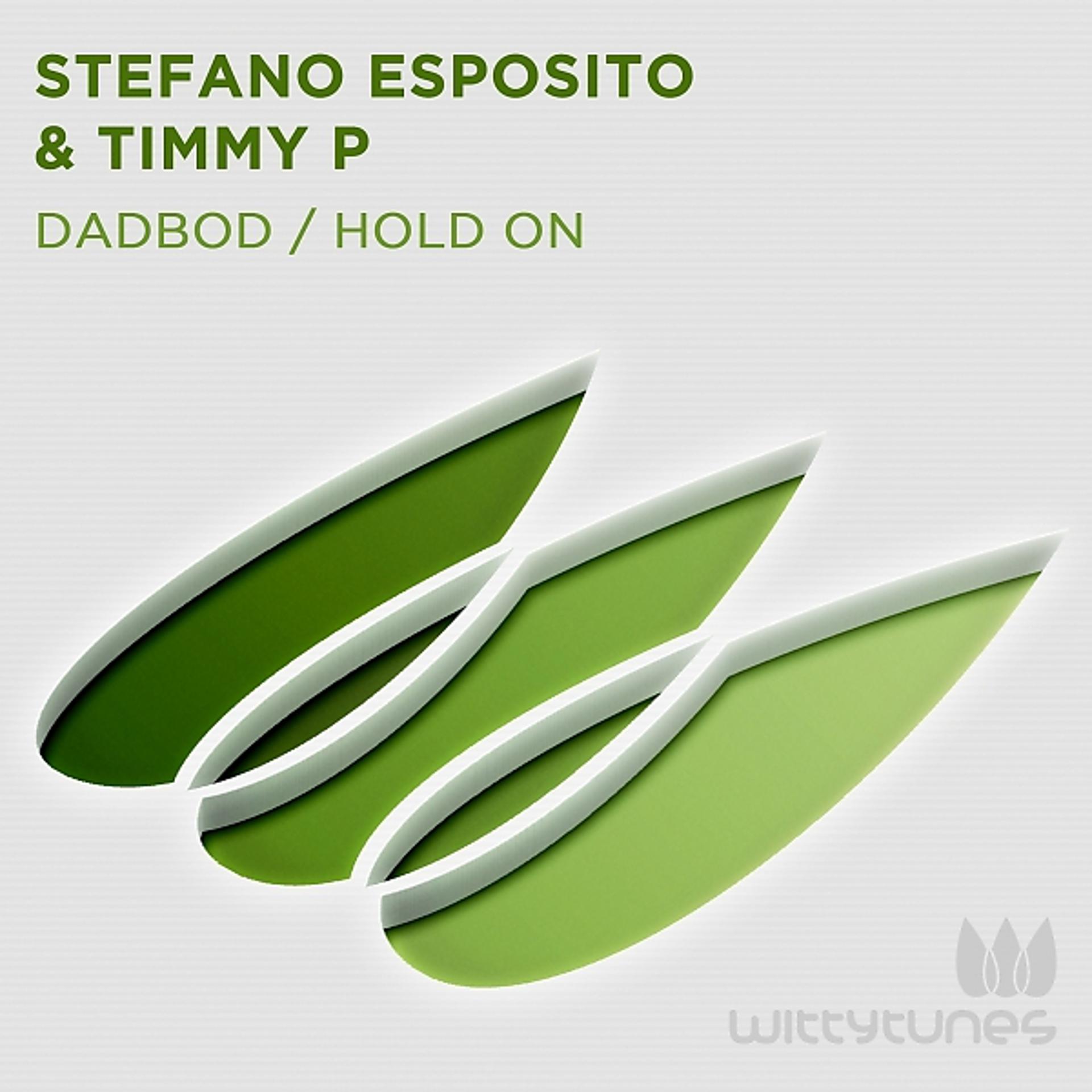Постер альбома Dadbod / Hold On