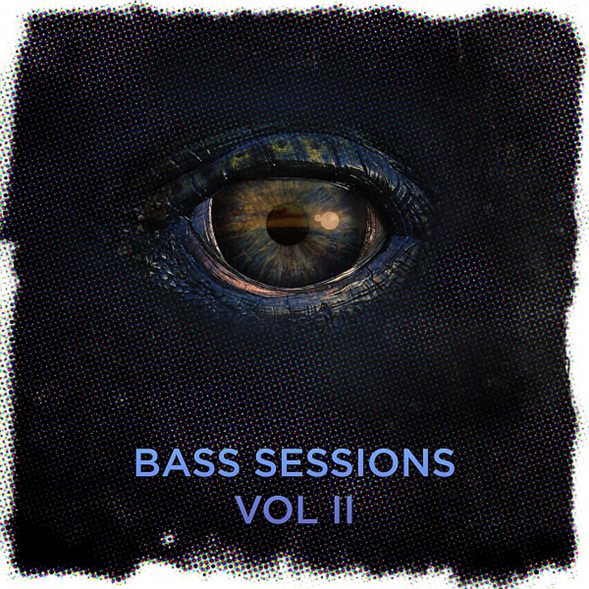 Постер альбома Bass Sessions Vol.2