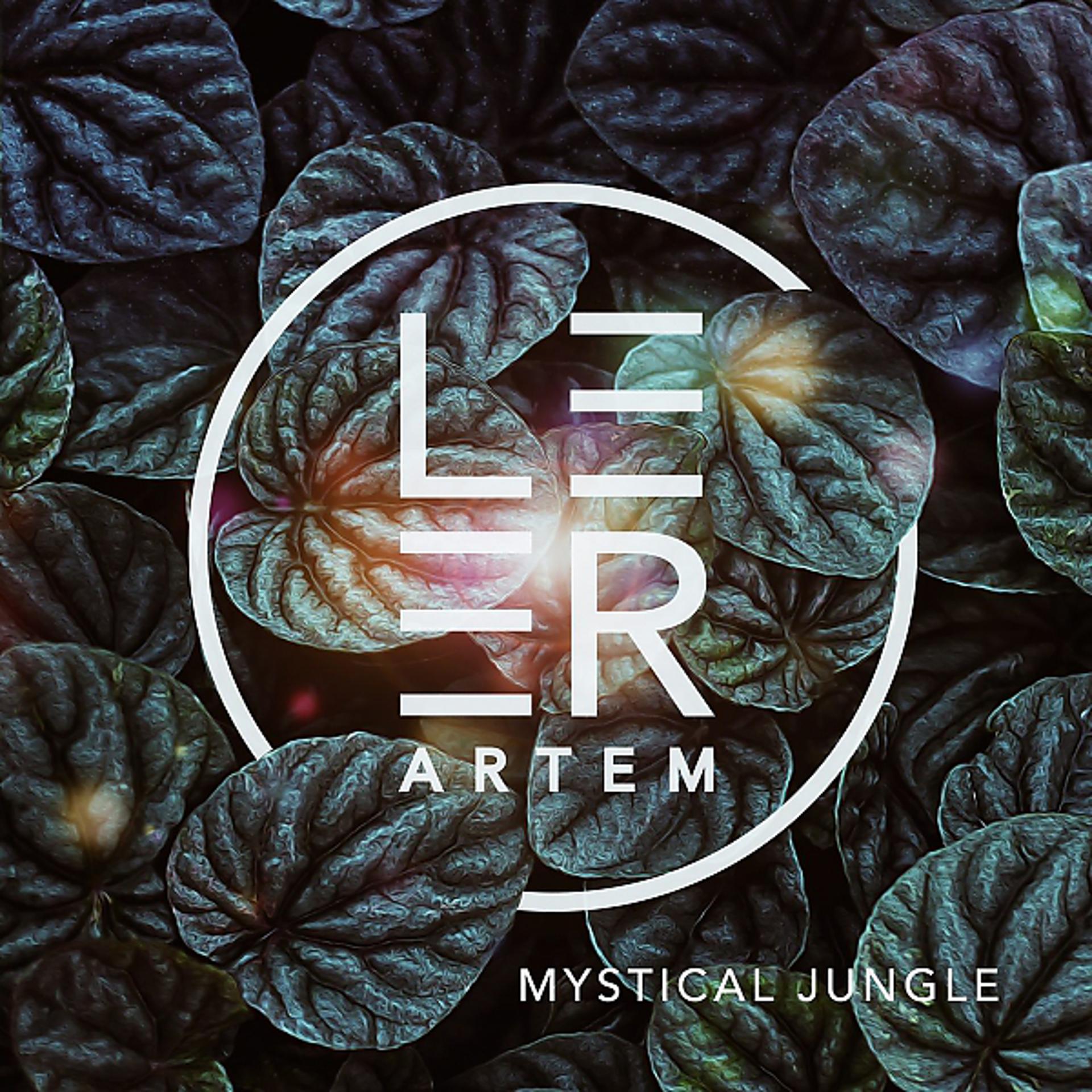 Постер альбома Mystical Jungle