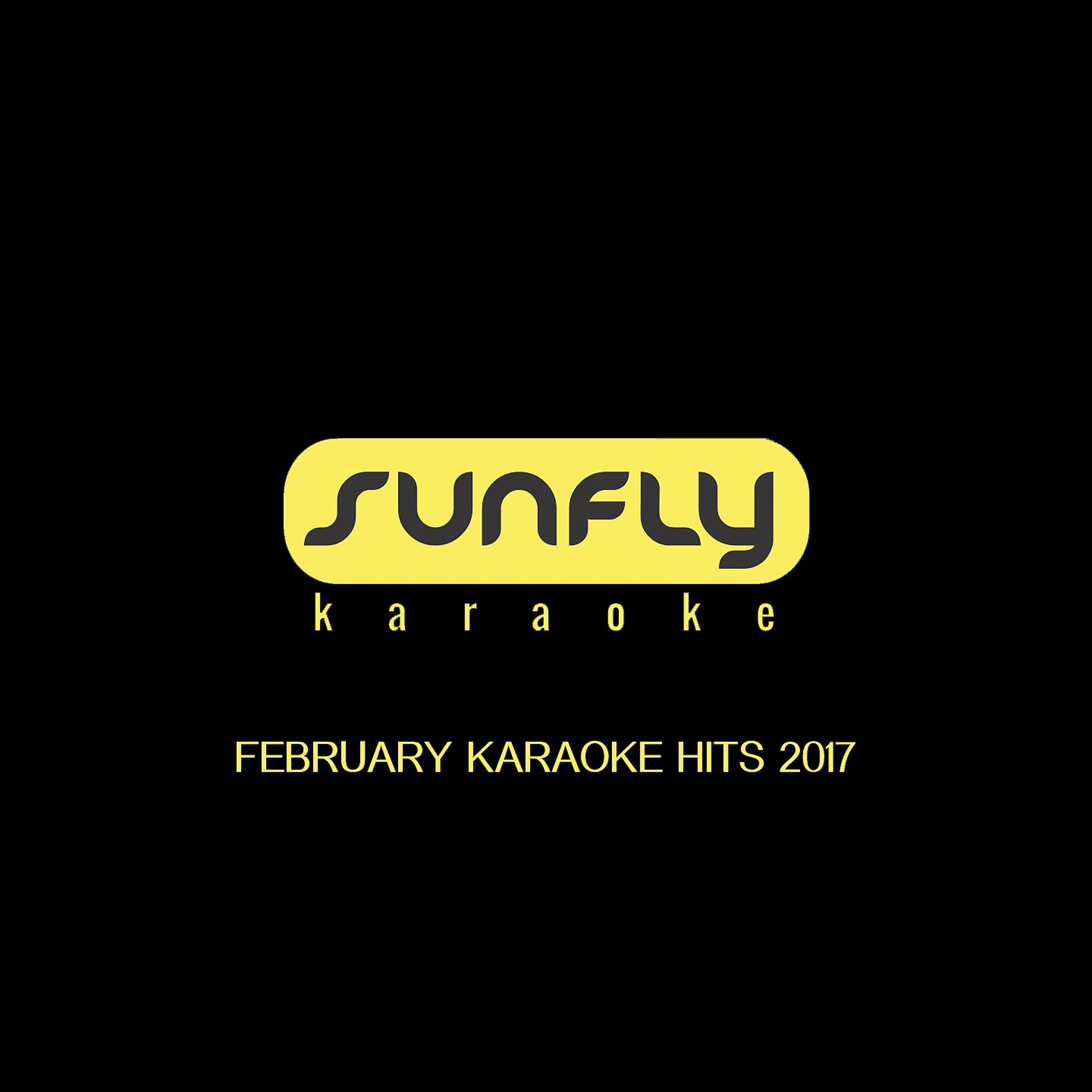 Постер альбома Feb Karaoke Hits 2017
