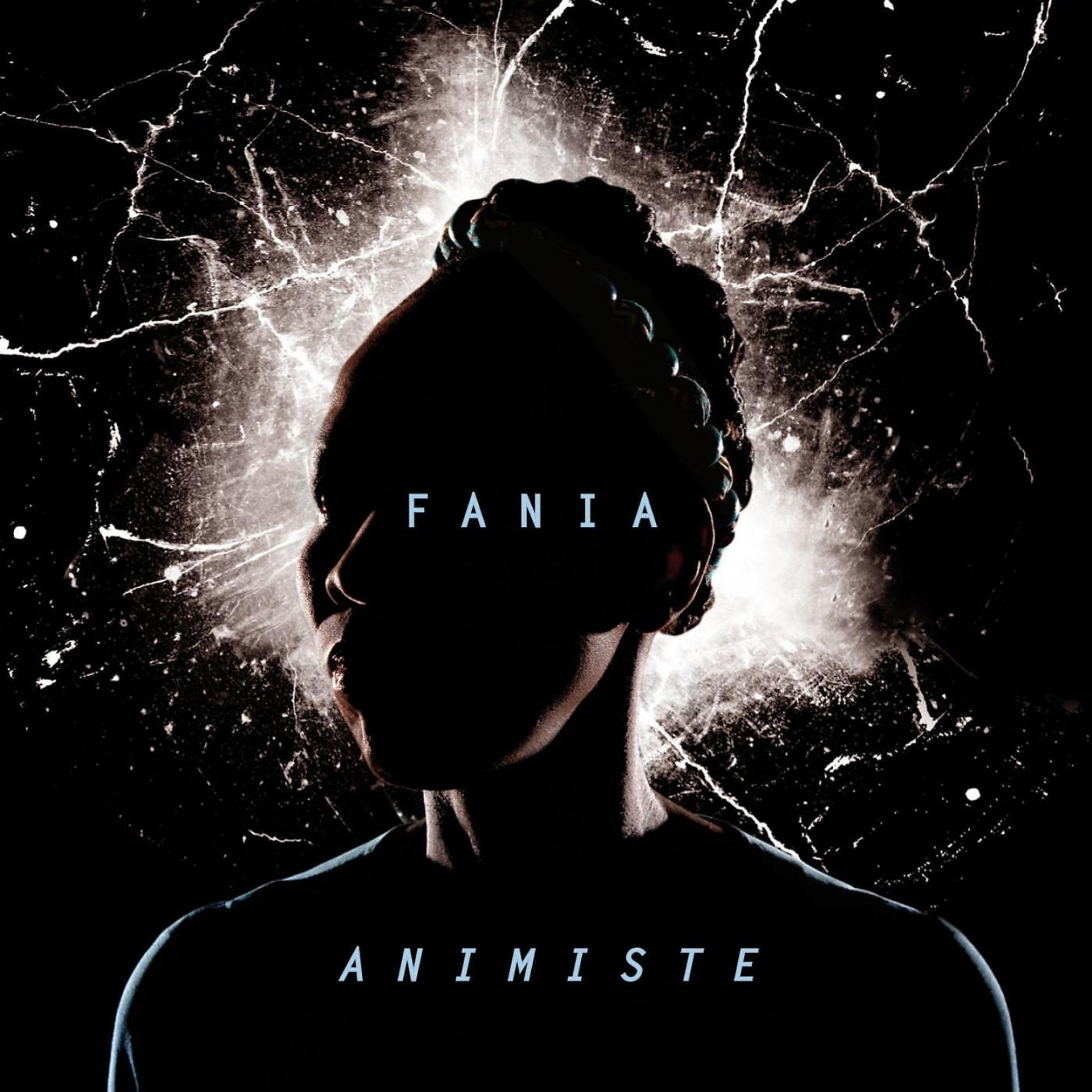 Постер альбома Animiste