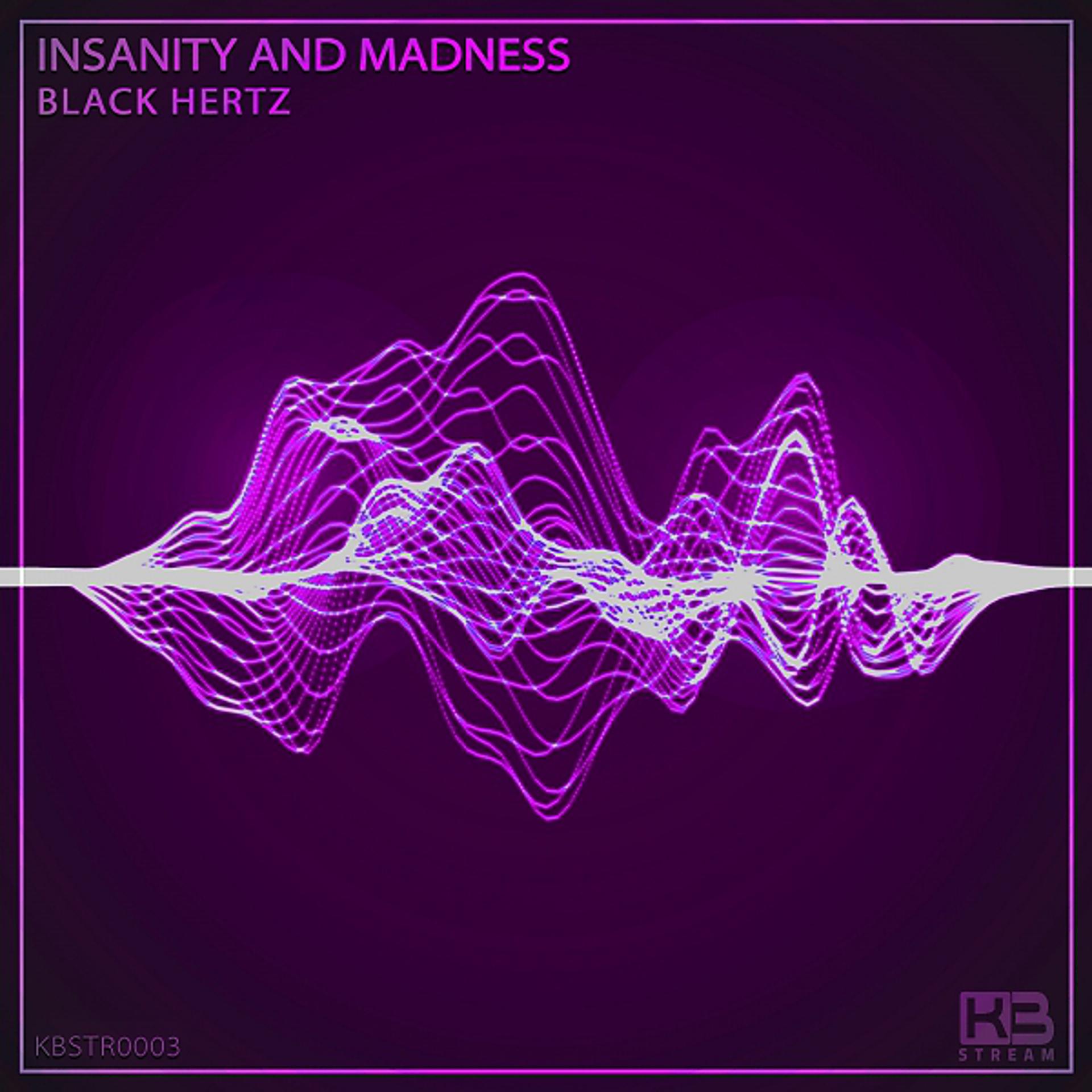 Постер альбома Insanity And Madness