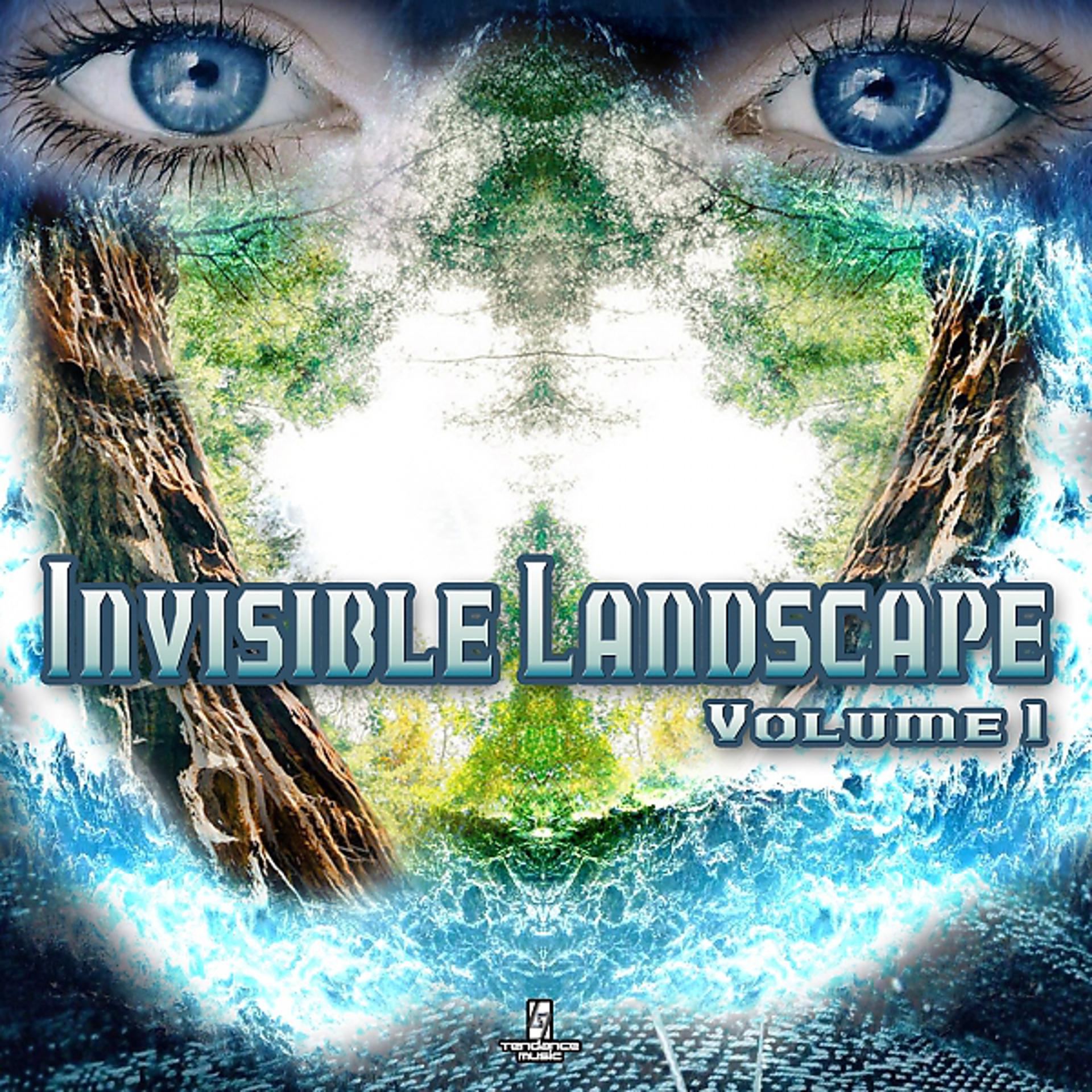Постер альбома Invisible Landscape, Vol. 1
