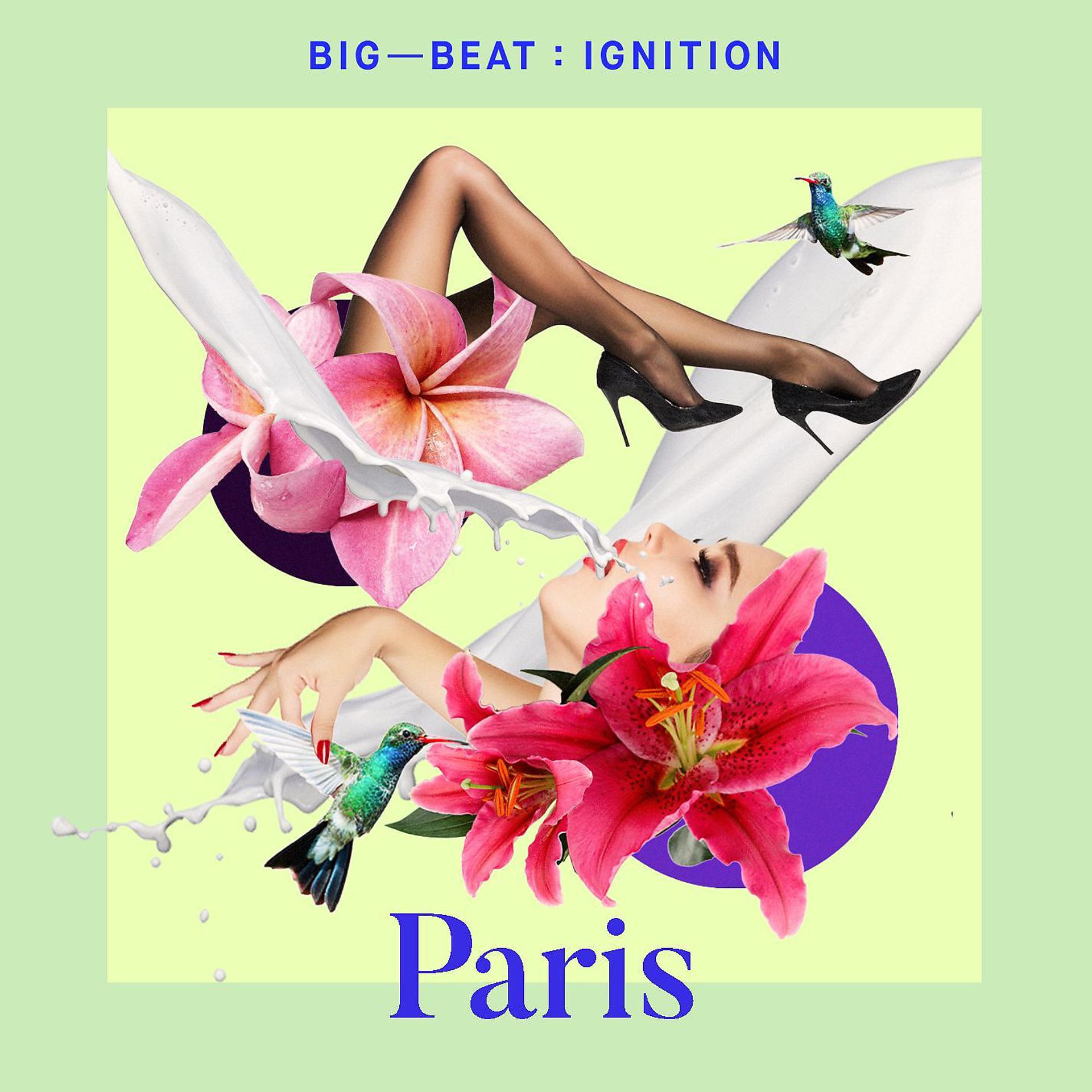 Постер альбома Big Beat Ignition: Paris