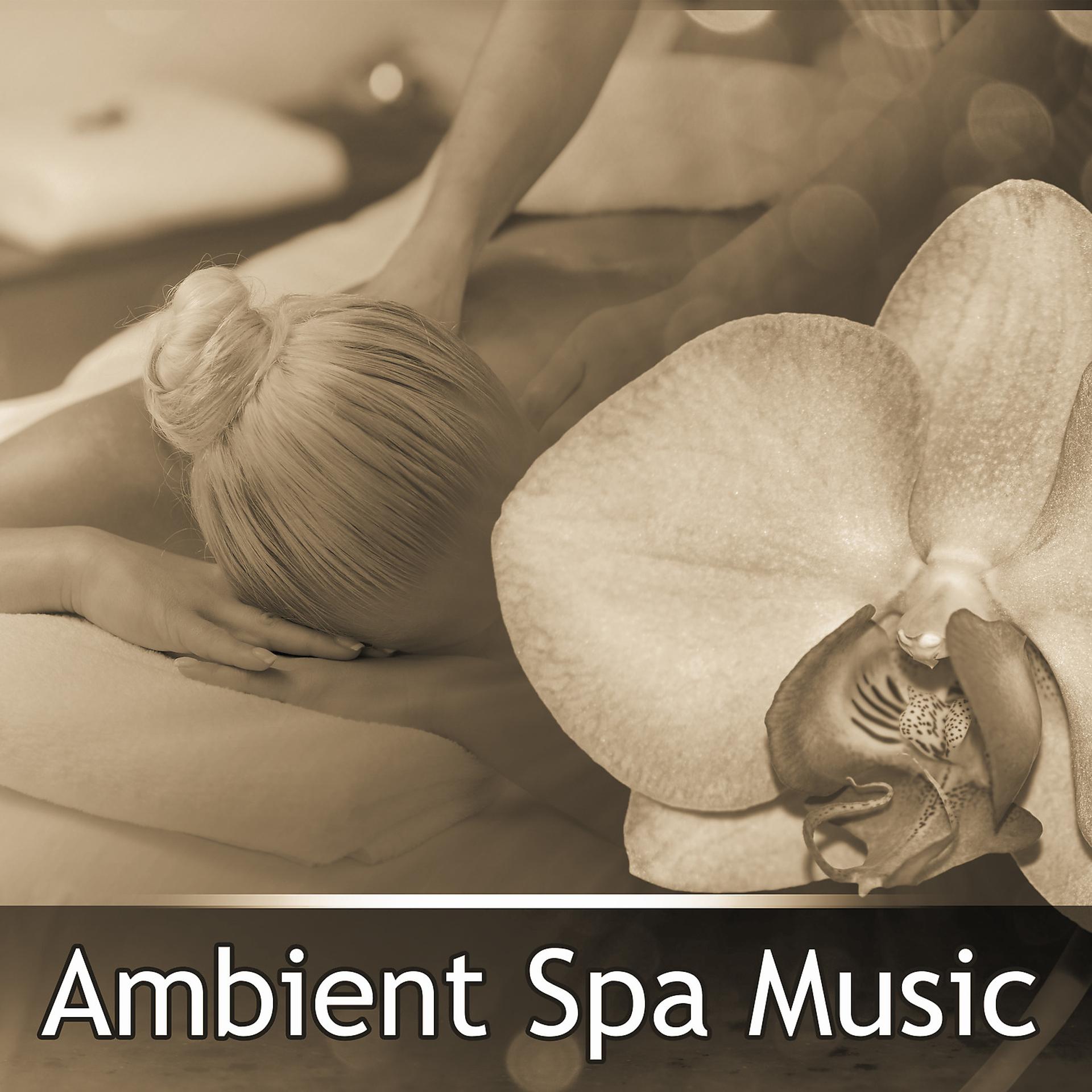 Постер альбома Ambient Spa Music – Music for Relaxation Your Body and Mind, Massage Sounds, Sauna Relax, Nature Spa