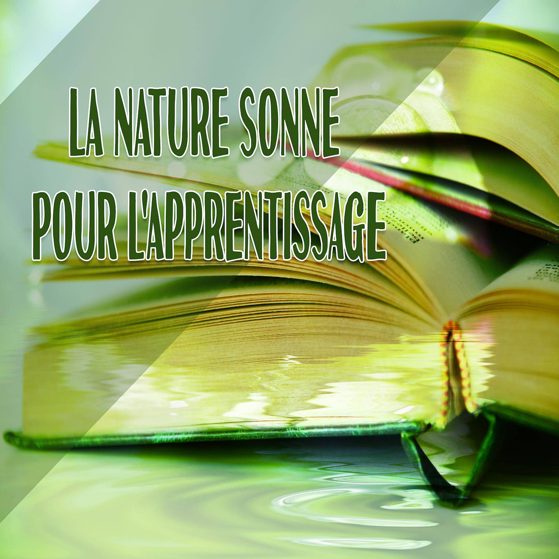 Постер альбома La nature sonne pour l'apprentissage - Mieux mémoriser, Bon temps pour se concentrer, Maintenant, je comprends, Passez cet examen