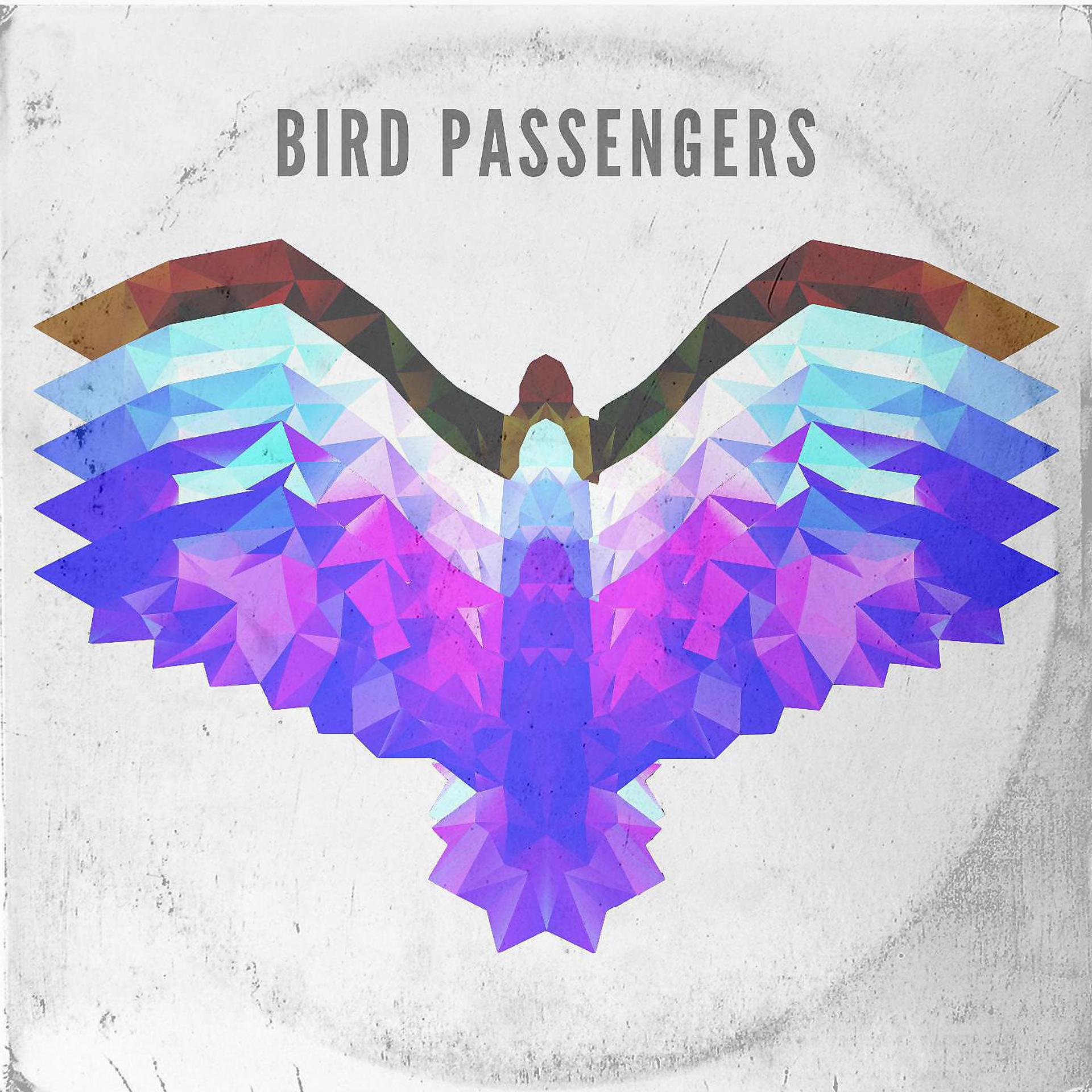 Постер альбома Bird Passengers