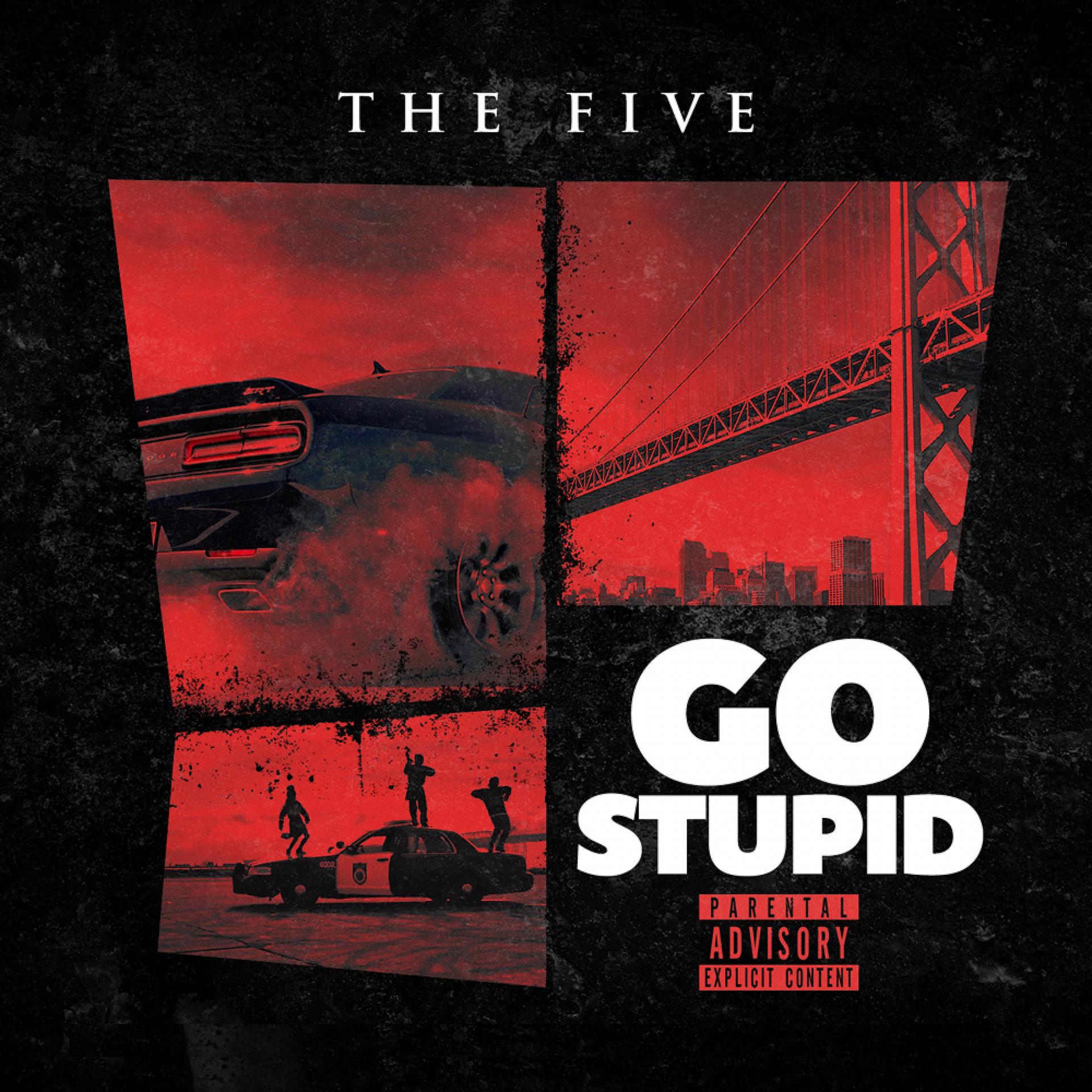 Постер альбома Go Stupid