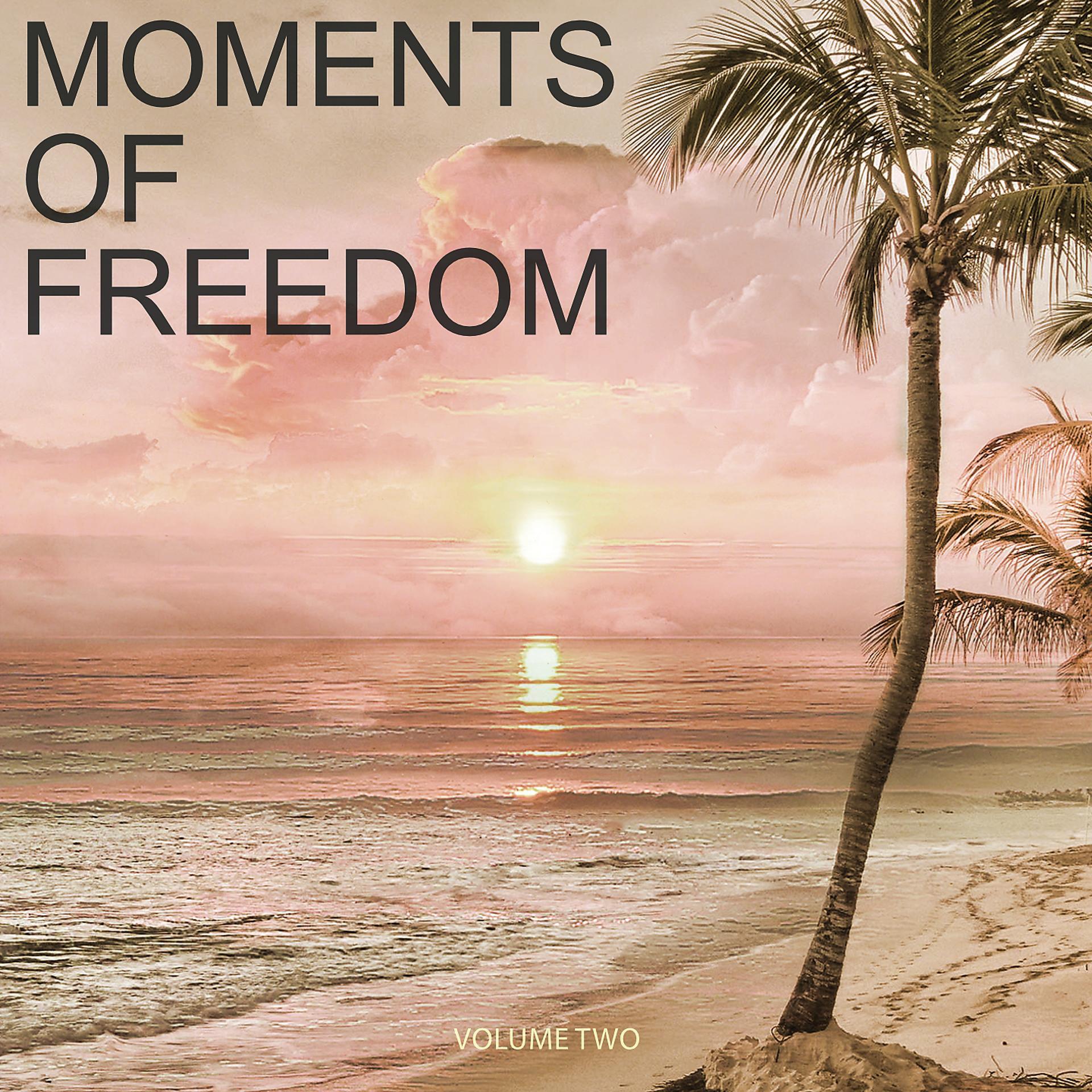 Постер альбома Moments Of Freedom, Vol. 2