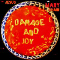 Постер альбома Damage and Joy