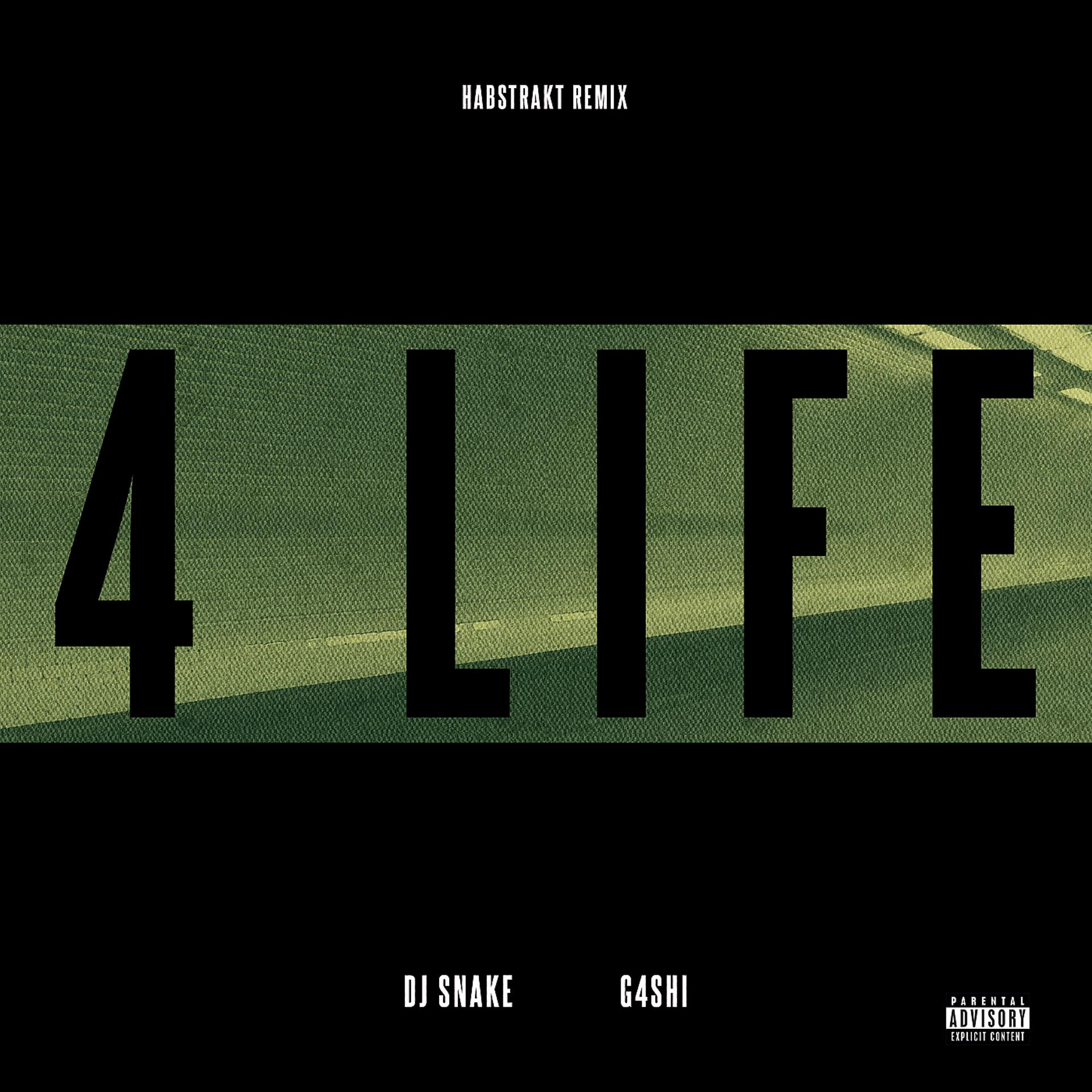 Постер альбома 4 Life