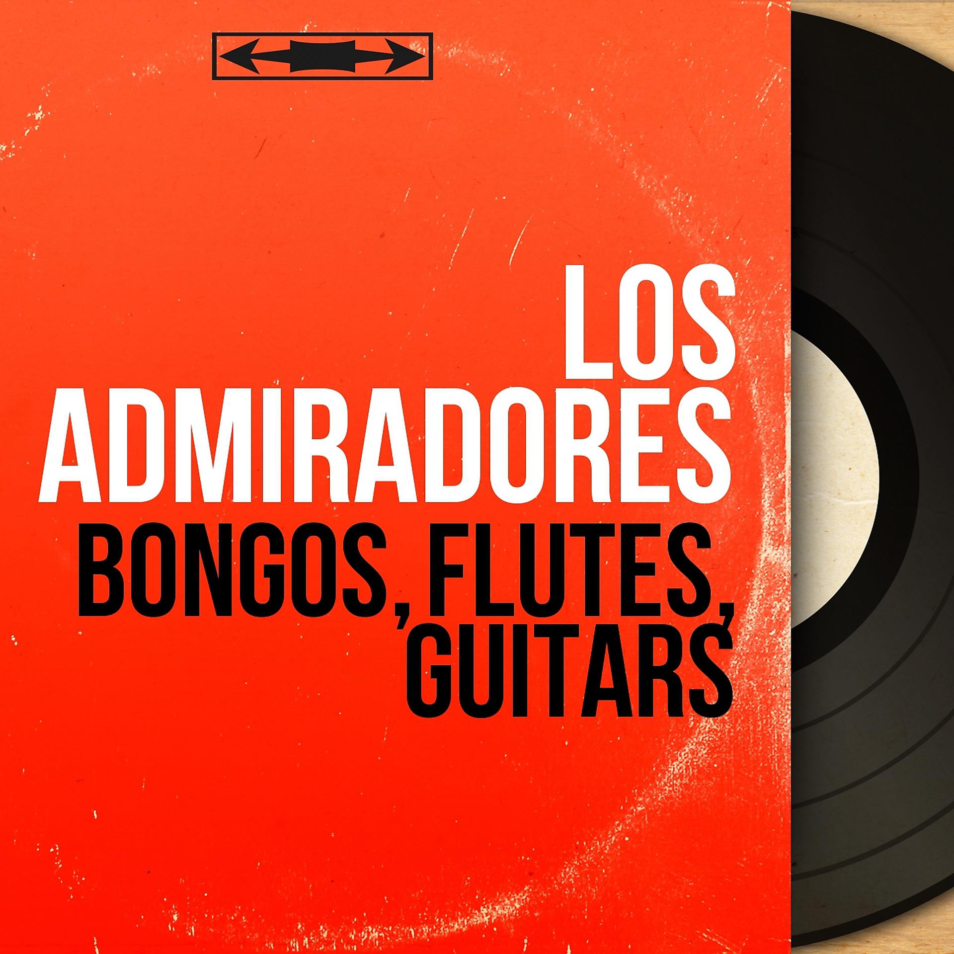 Постер альбома Bongos, flutes, guitars