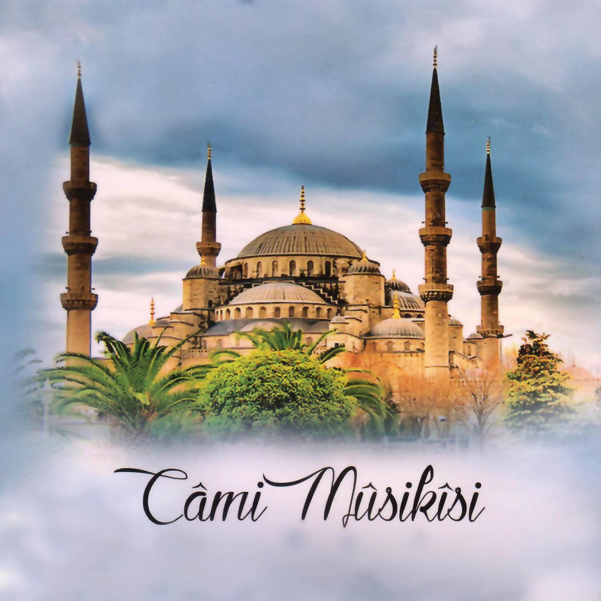 Постер альбома Câmi Mûsikîsi