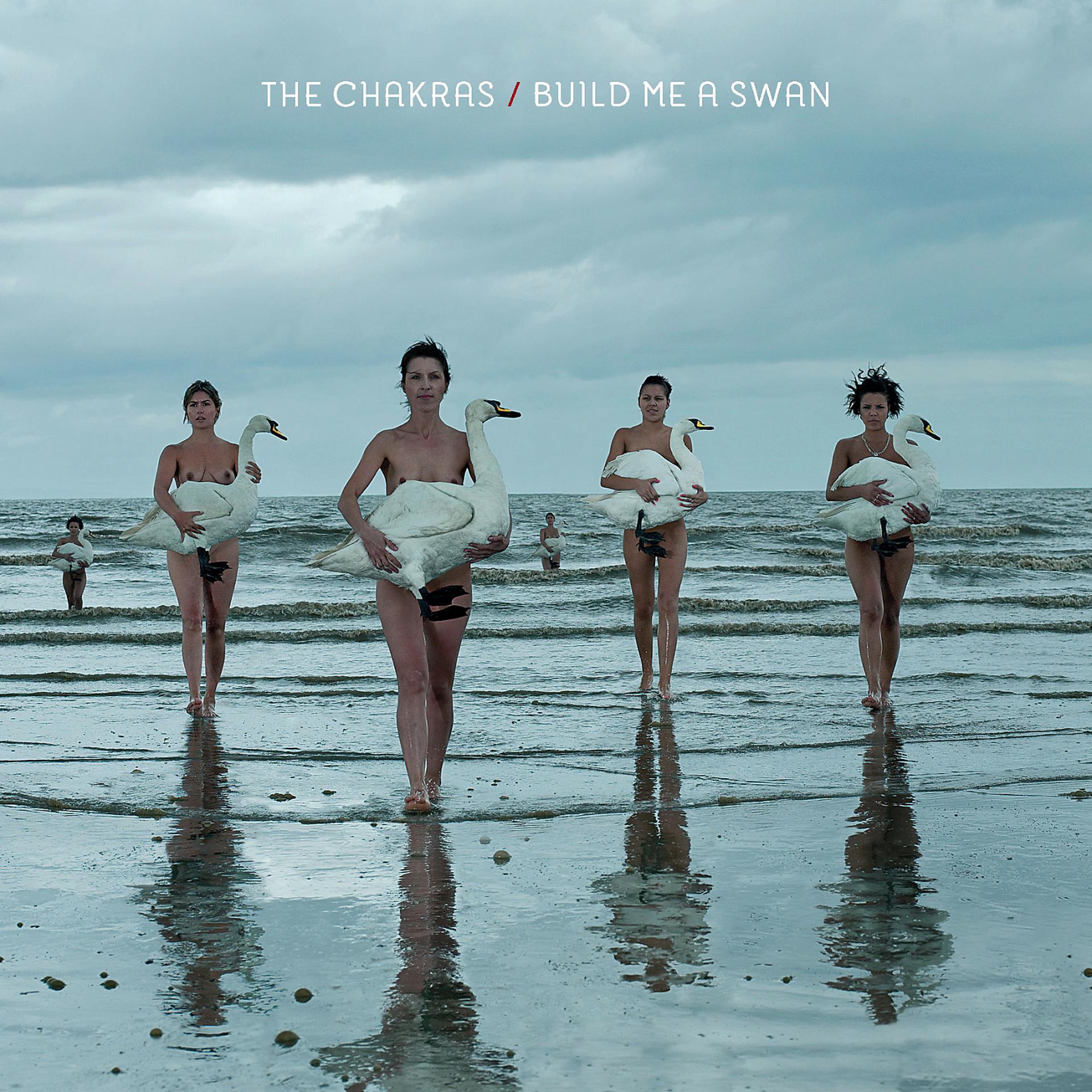 Постер альбома Build Me a Swan
