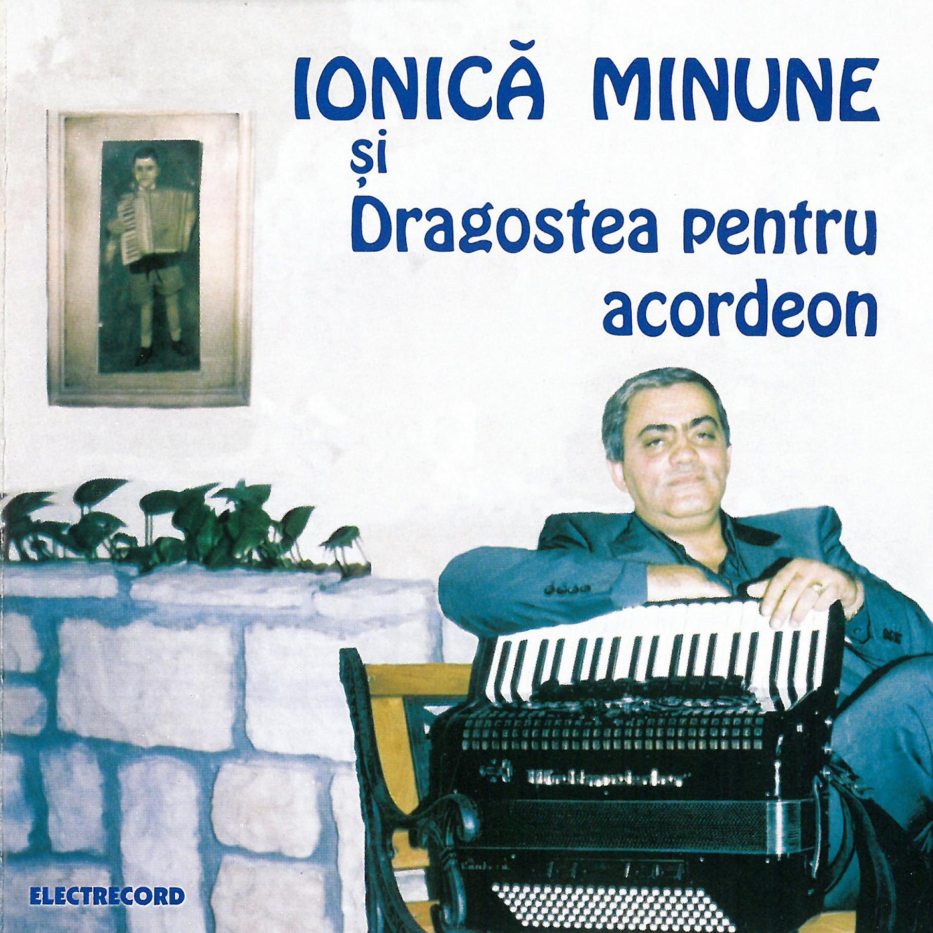 Постер альбома Dragostea Pentru Acordeon