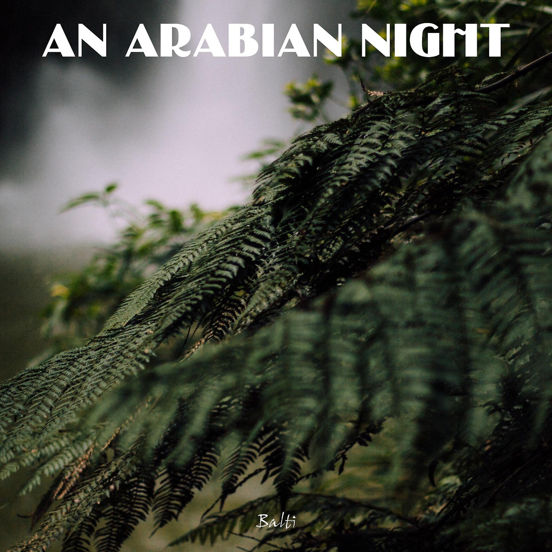 Постер альбома An Arabian Night