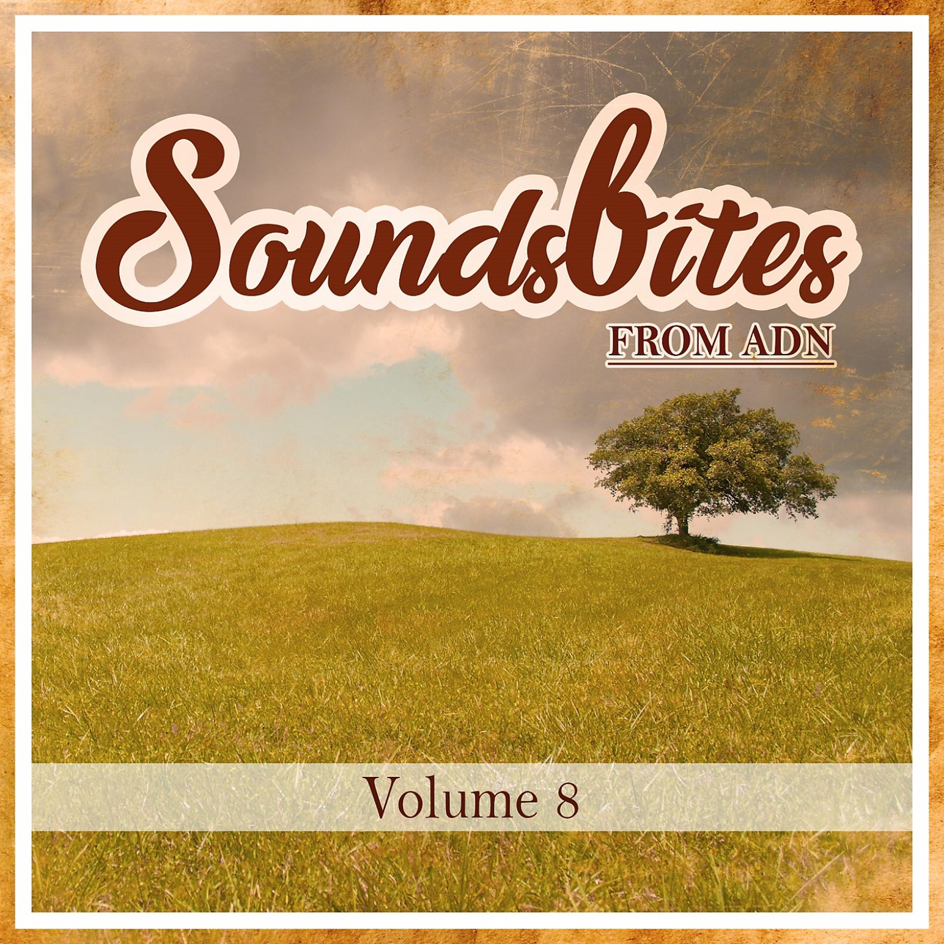 Постер альбома Soundsbites from ADN, Vol. 8