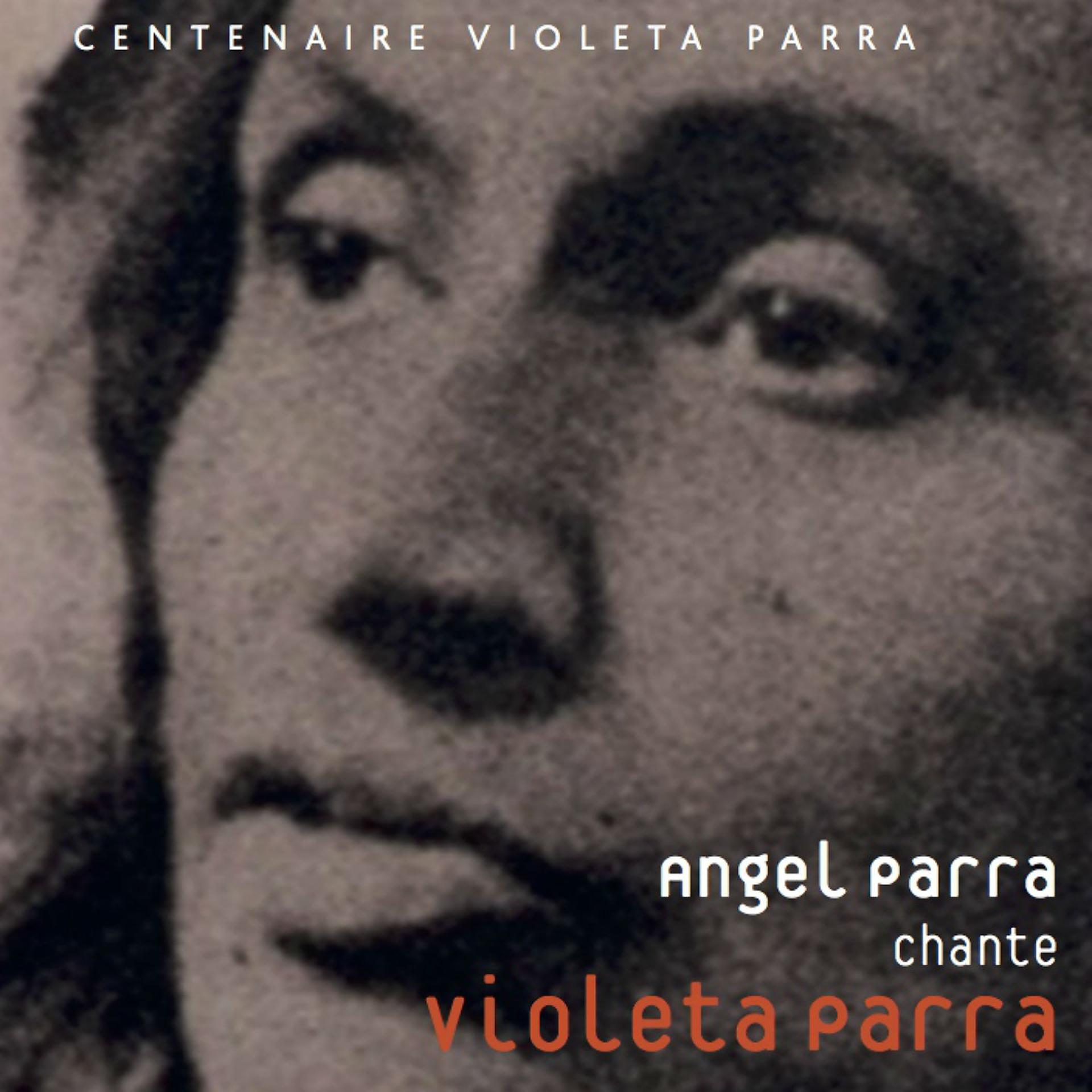 Постер альбома Chante Violeta Parra