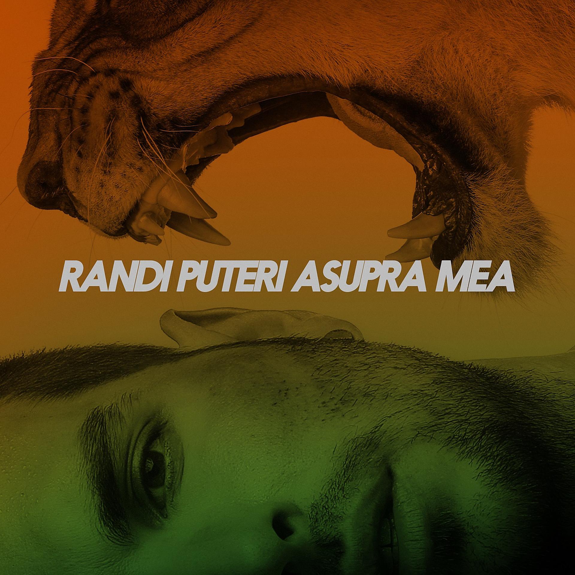 Постер альбома Puteri Asupra Mea