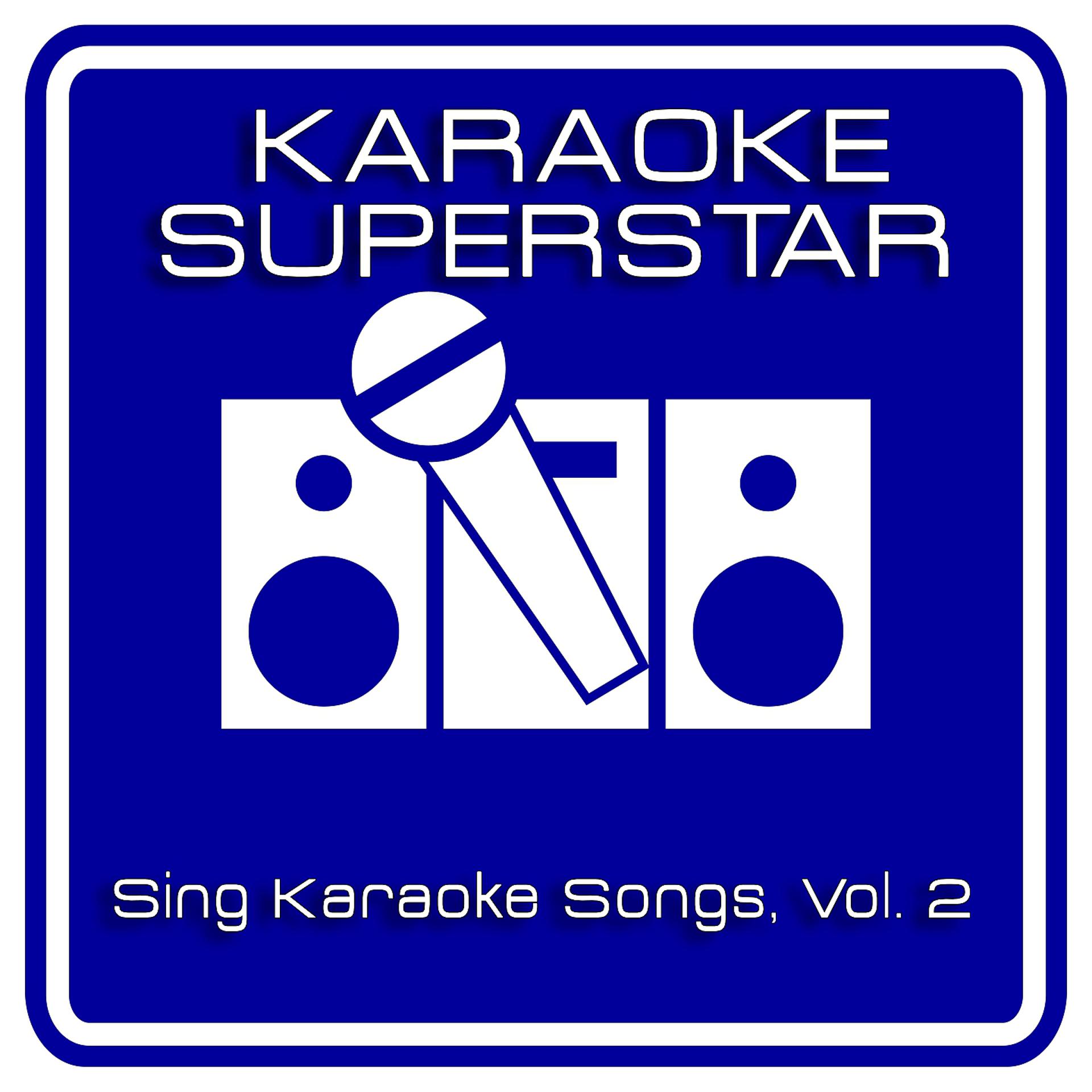 Постер альбома Sing Karaoke Songs, Vol. 2