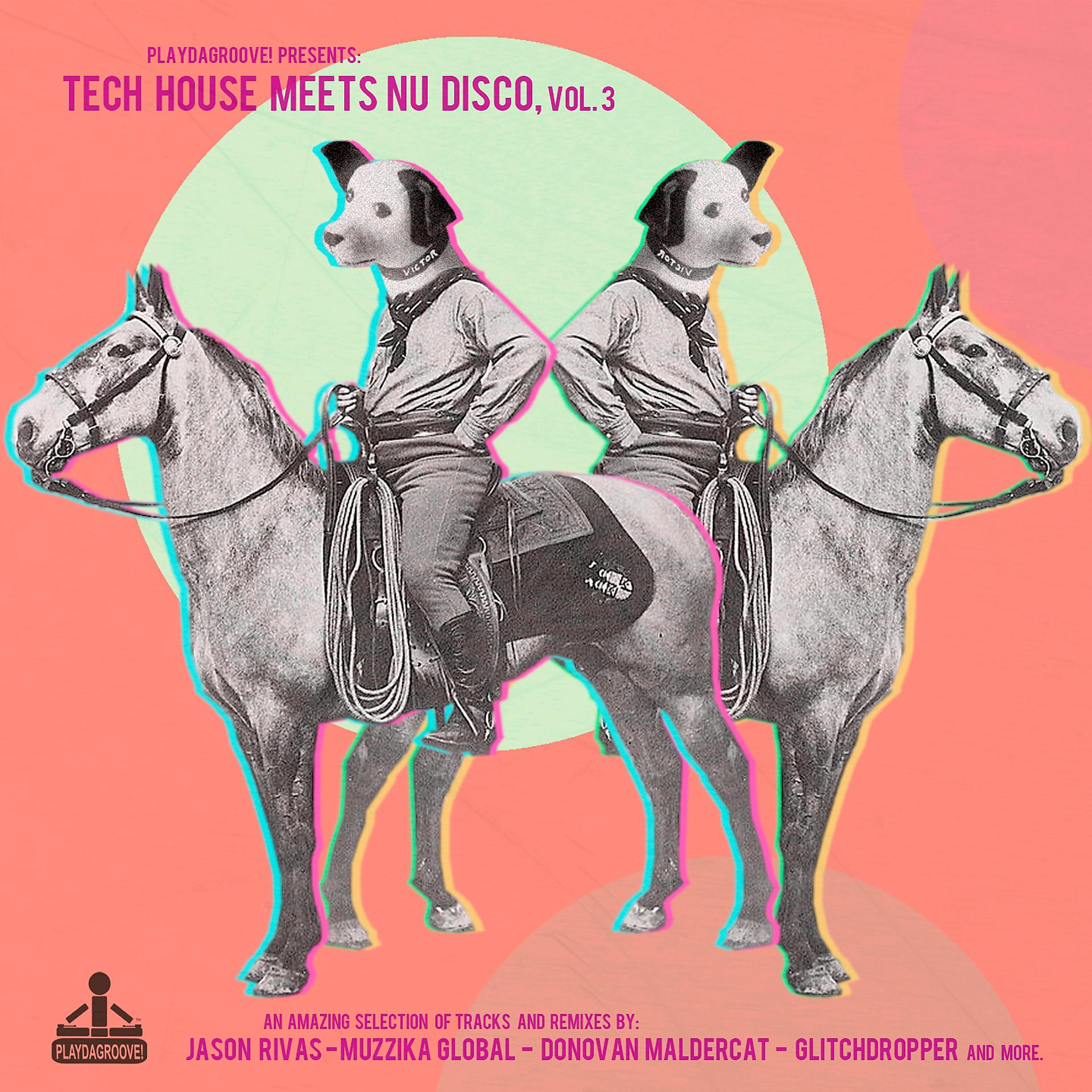 Постер альбома Tech House Meets Nu Disco, Vol. 3