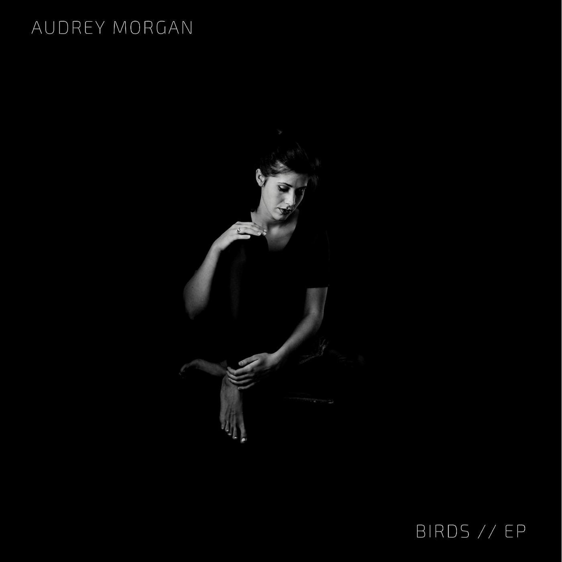 Постер альбома Birds - EP