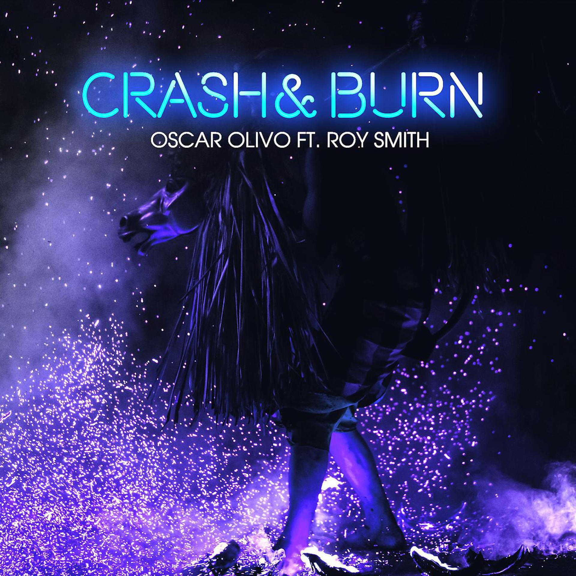 Постер альбома Crash & Burn (feat. Roy Smith)