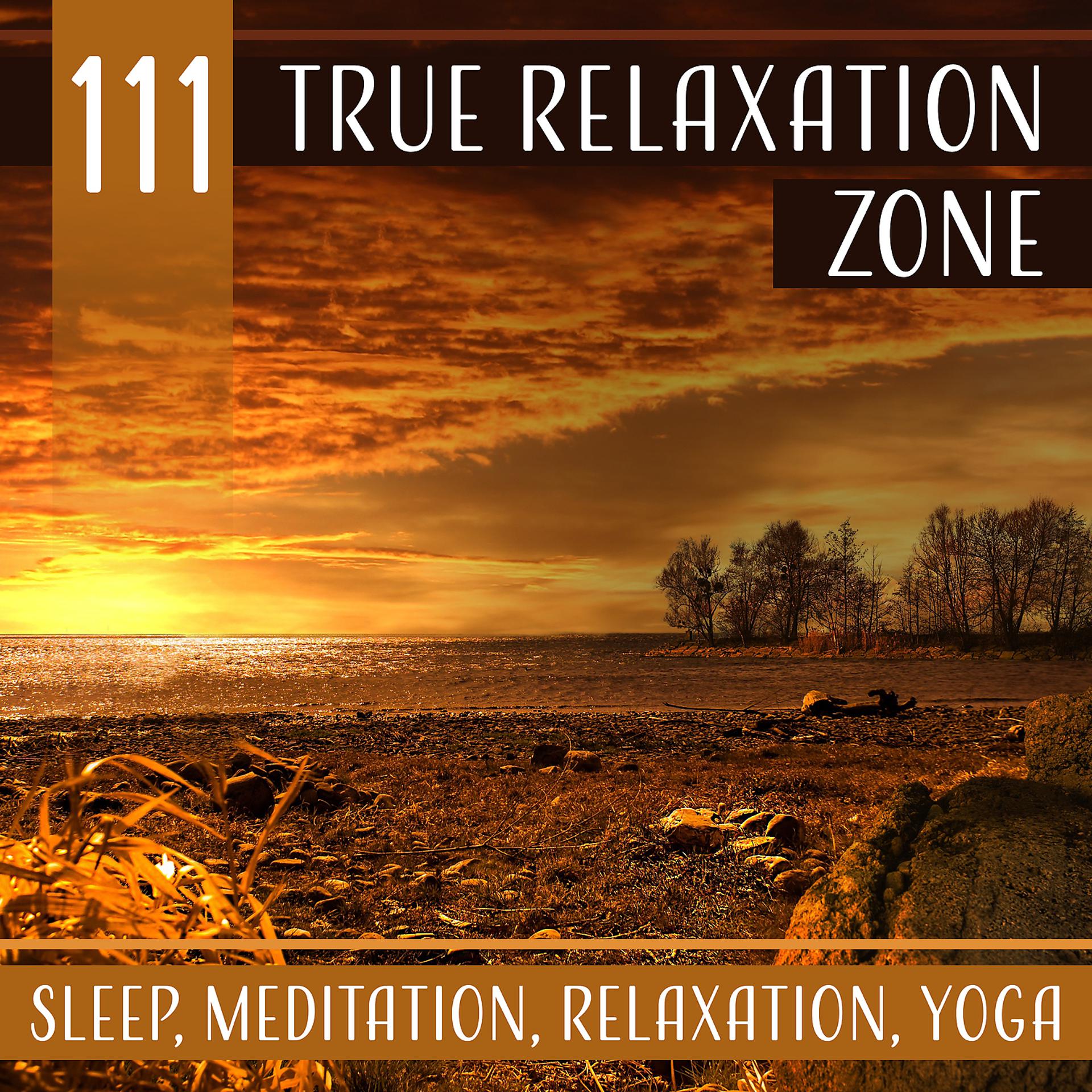 Постер альбома 111 True Relaxation Zone: Sleep, Meditation, Relaxation, Yoga – Healing Nature Sounds Therapy, Stress Free, Free Your Mind