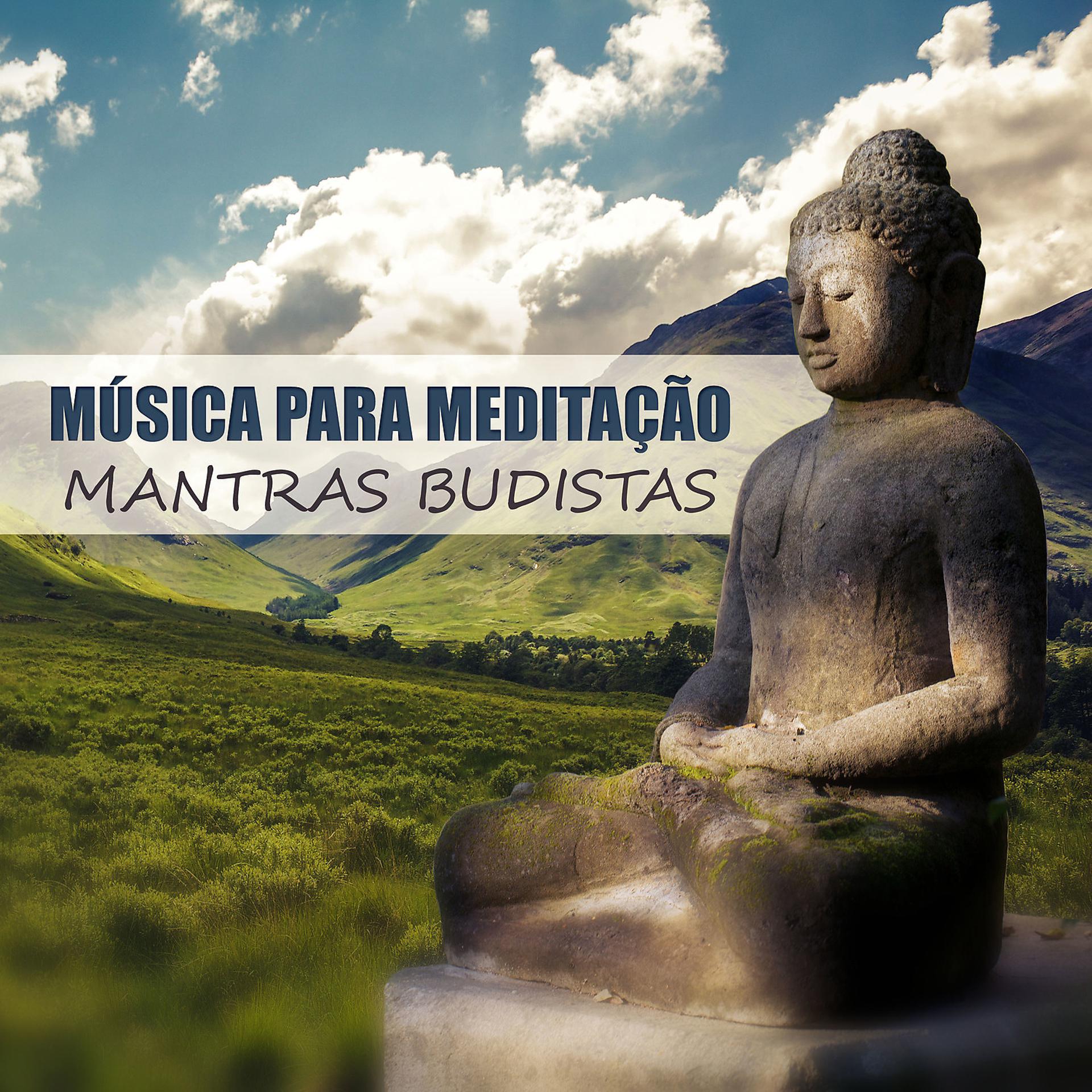Постер альбома Música para Meditação: Mantras Budistas, Musicoterapia, Chakras do Corpo Cura, Música Tranquila de Relaxamento, Yoga e Pilates, Sons da Natureza