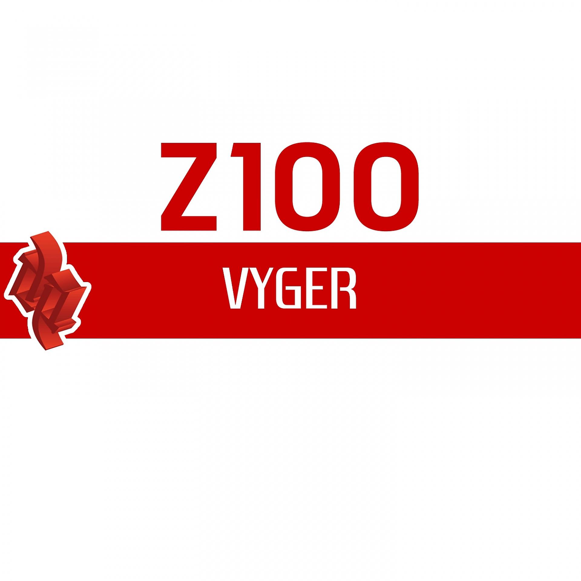 Постер альбома Vyger