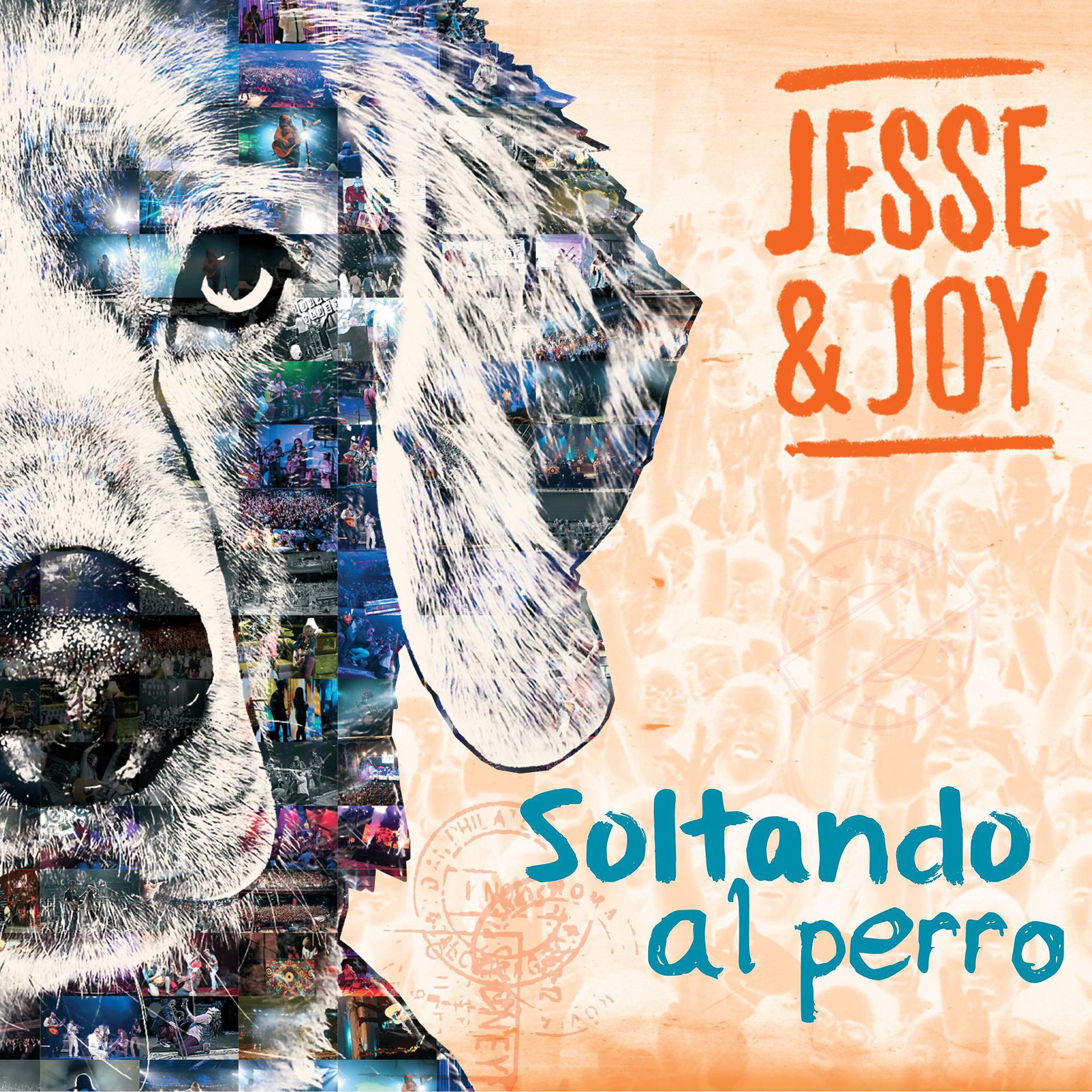 Постер альбома Soltando Al Perro