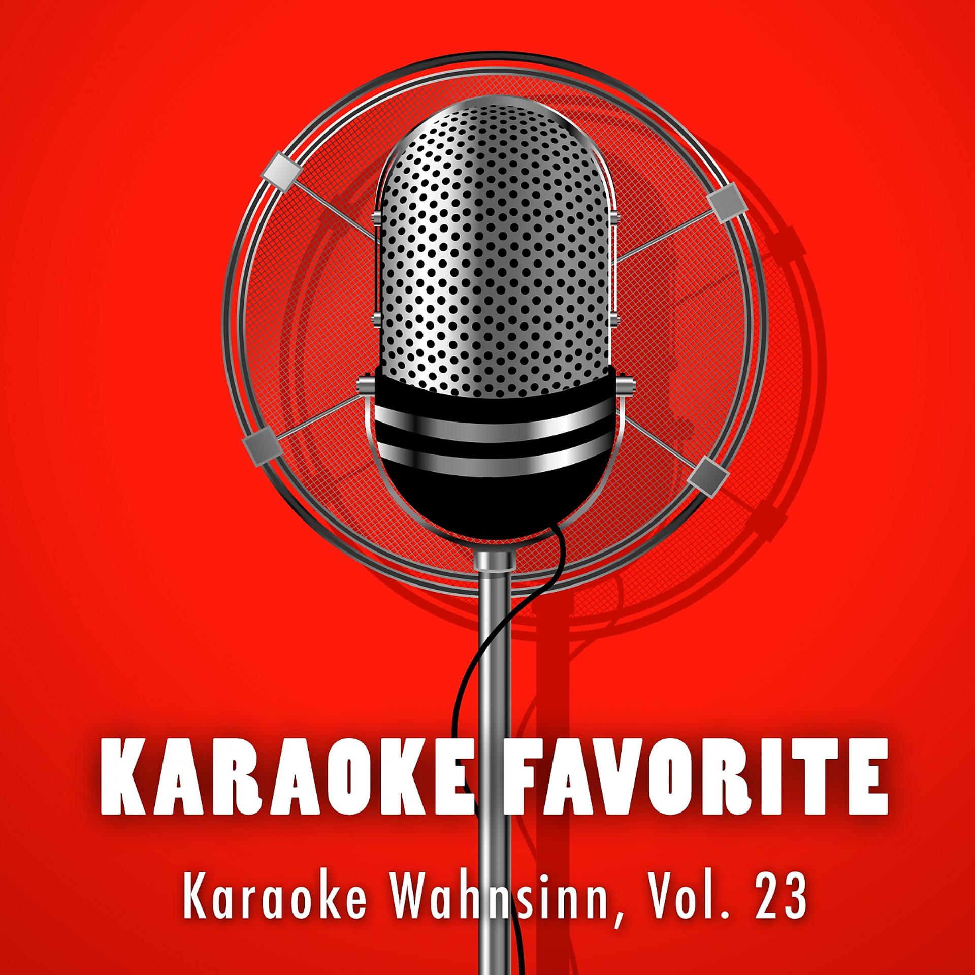 Постер альбома Karaoke Wahnsinn, Vol. 23