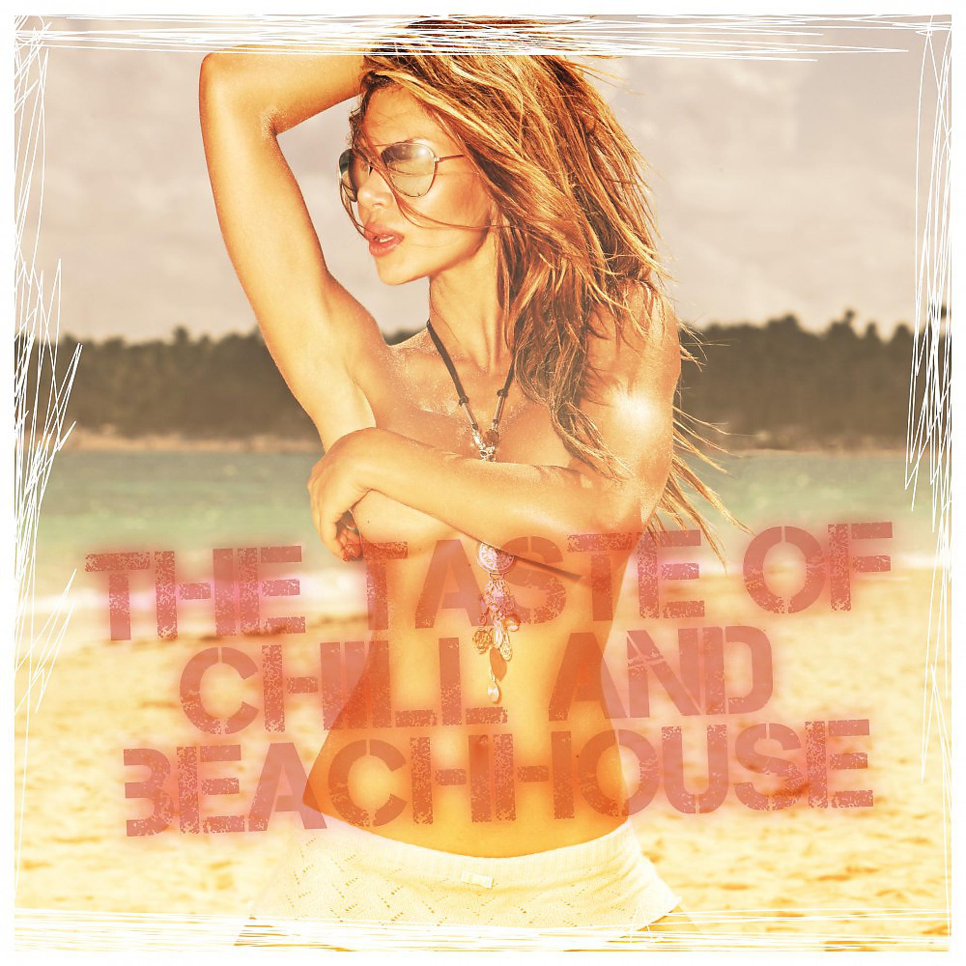 Постер альбома The Taste of Chill and Beachhouse