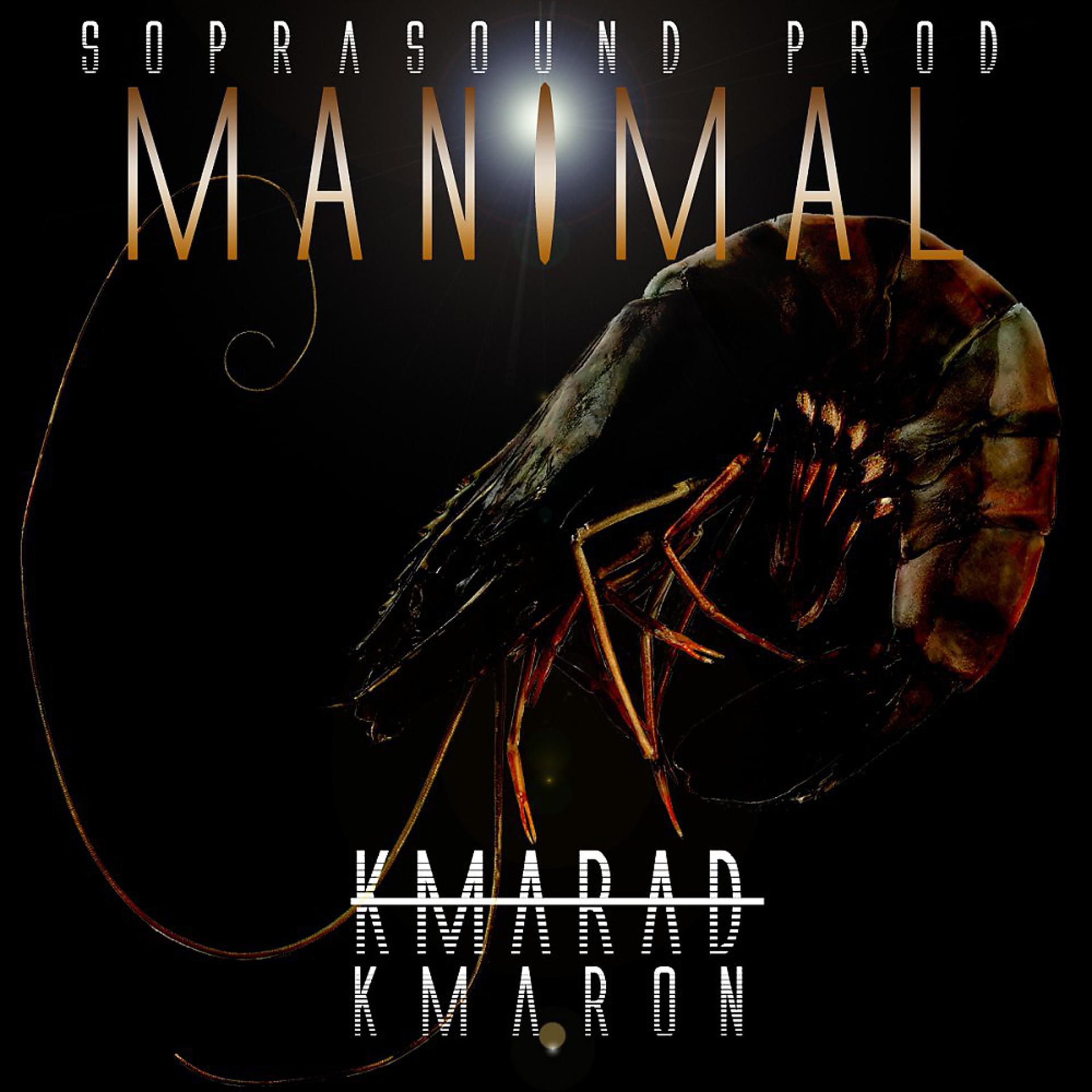 Постер альбома Kmarad