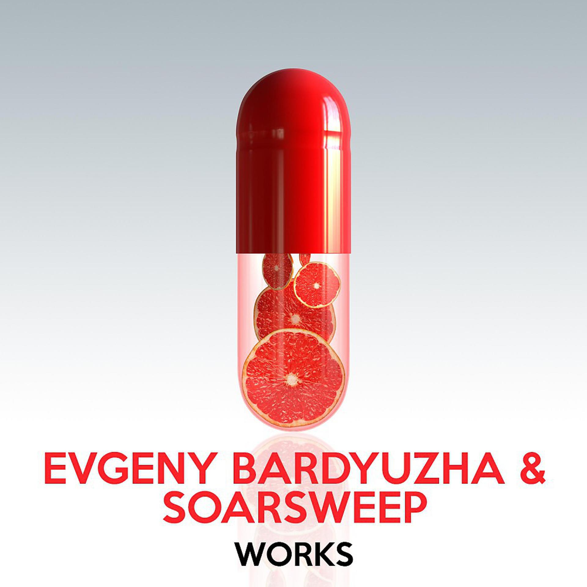 Постер альбома Evgeny Bardyuzha & Soarsweep Works