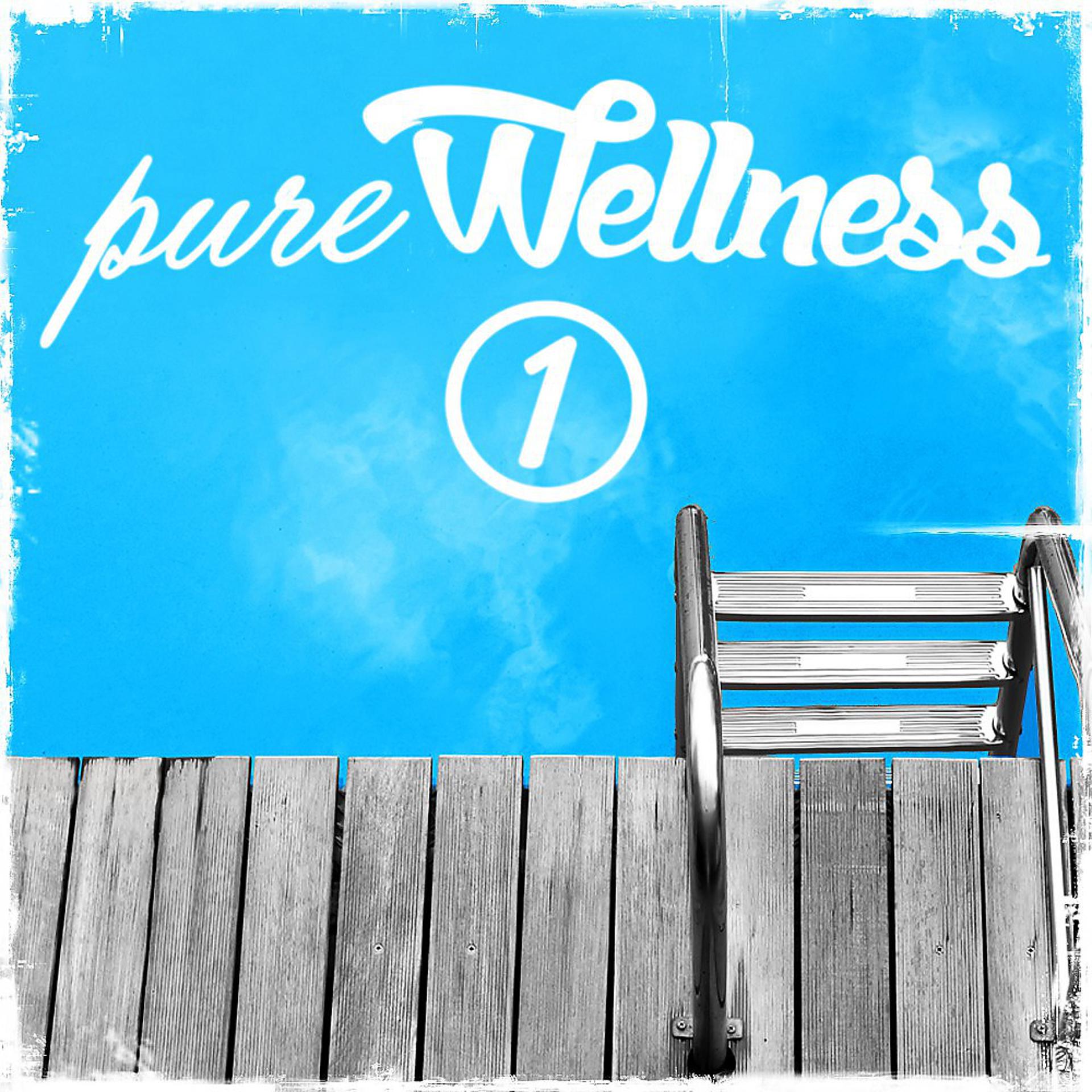 Постер альбома Pure Wellness 1