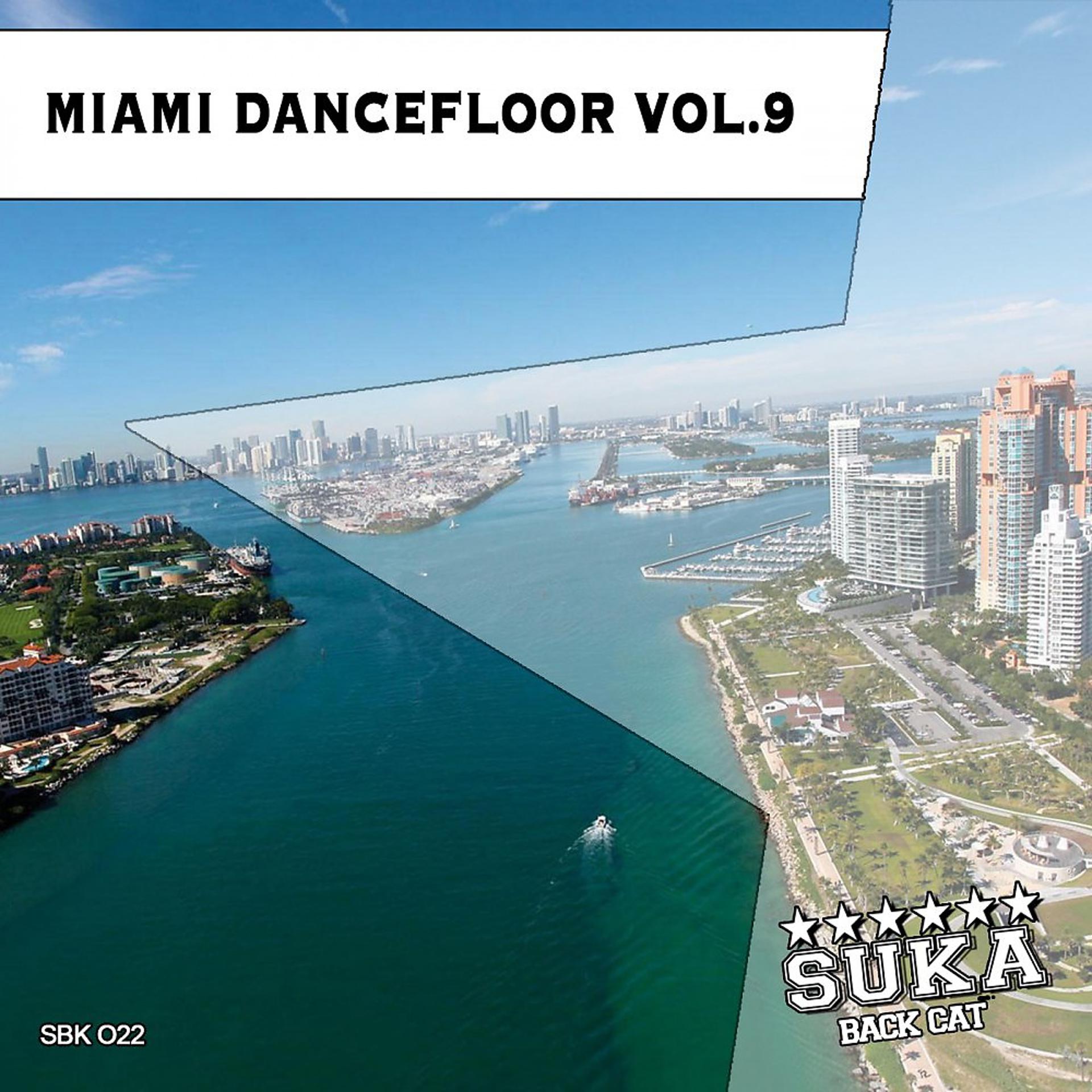 Постер альбома Miami Dancefloor, Vol. 9