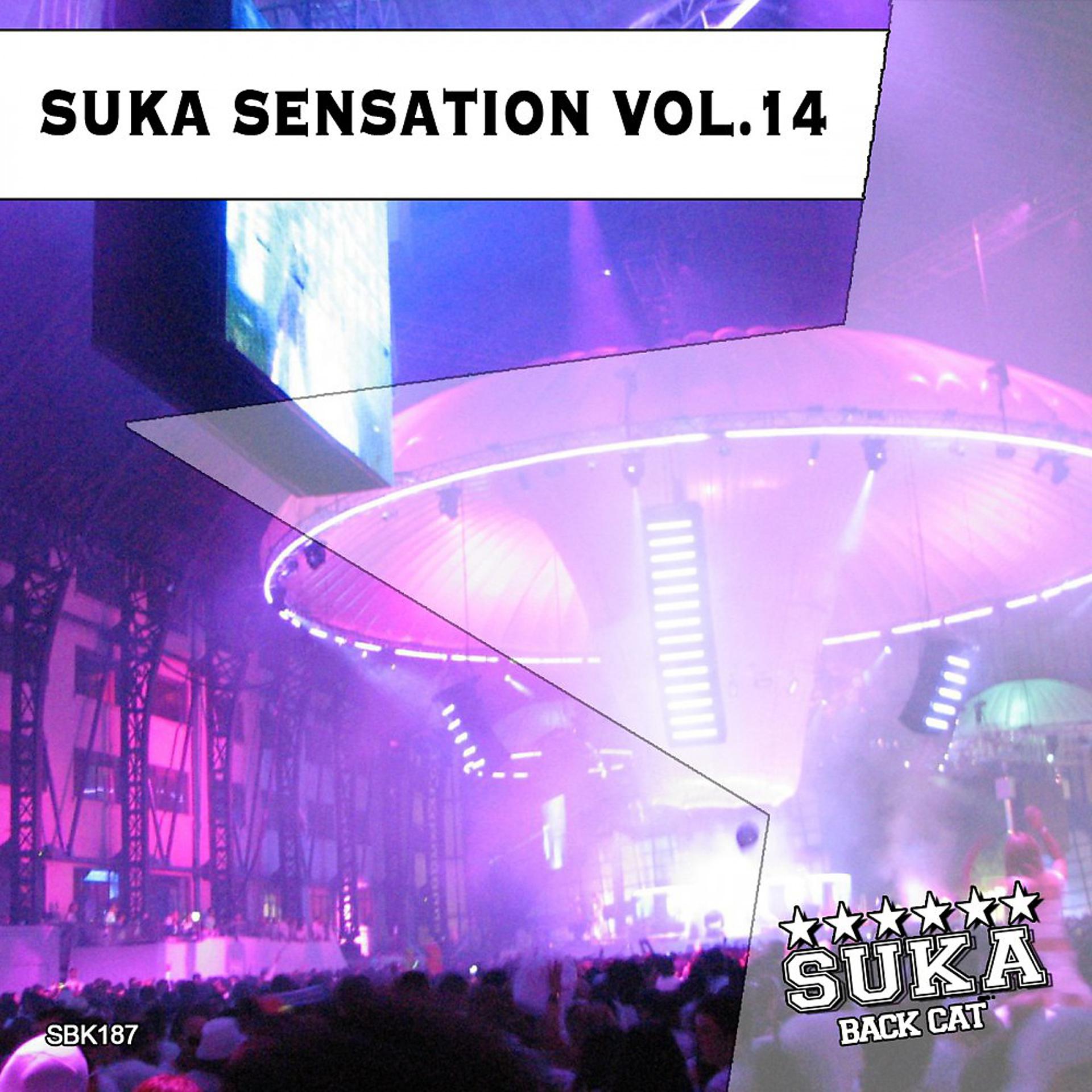 Постер альбома Suka Sensation, Vol. 14
