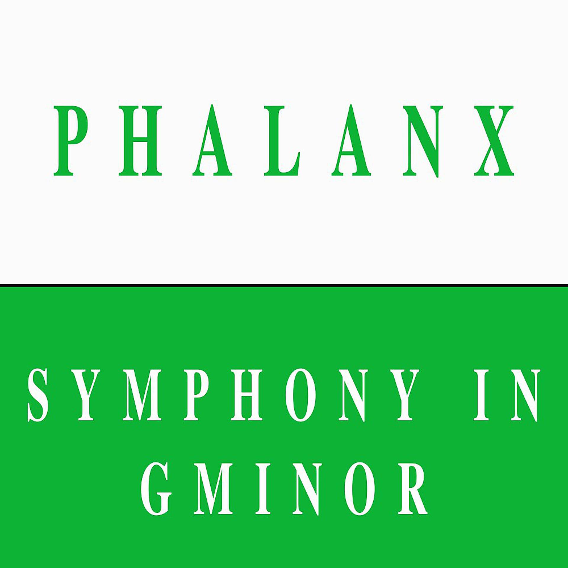 Постер альбома Symphony in Gminor
