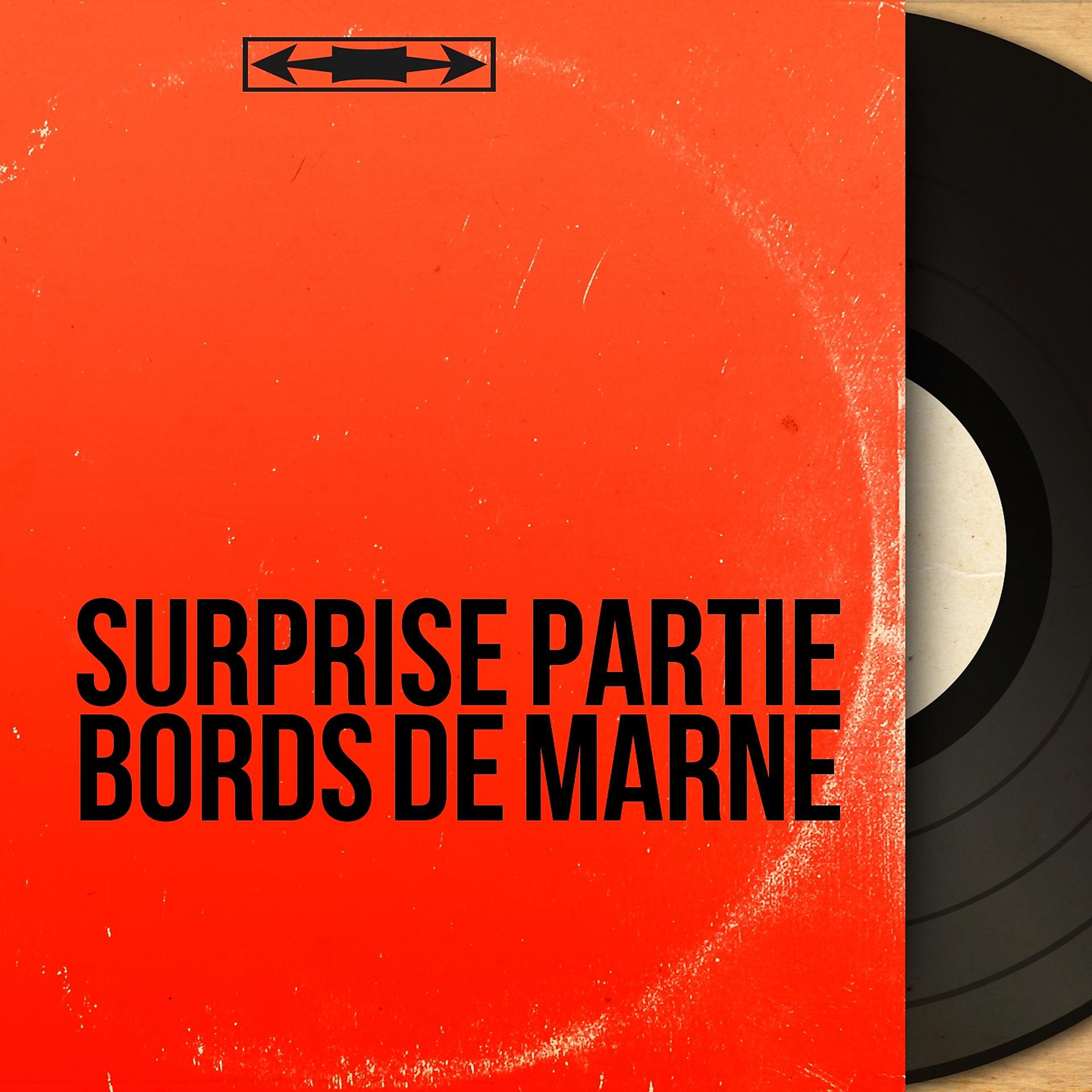 Постер альбома Surprise partie bords de Marne