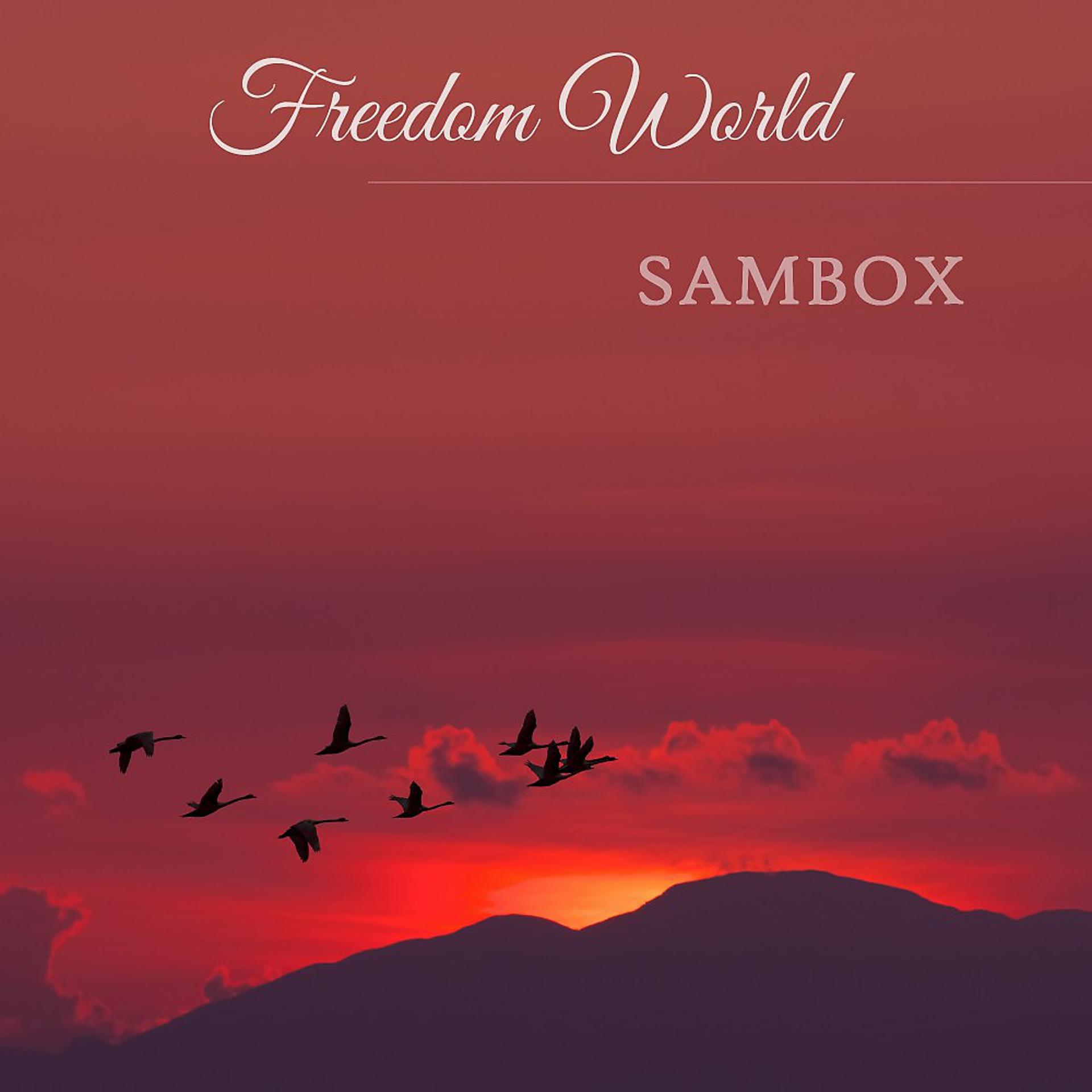Постер альбома Freedom World