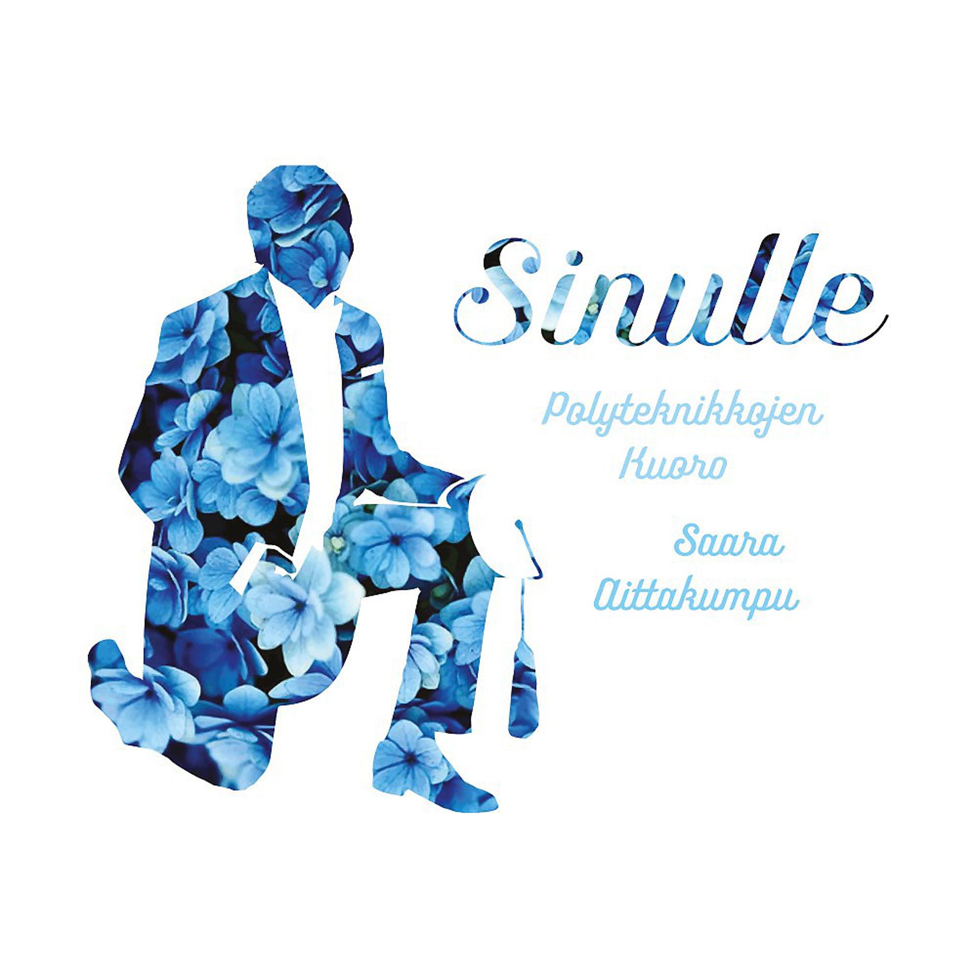 Постер альбома Sinulle