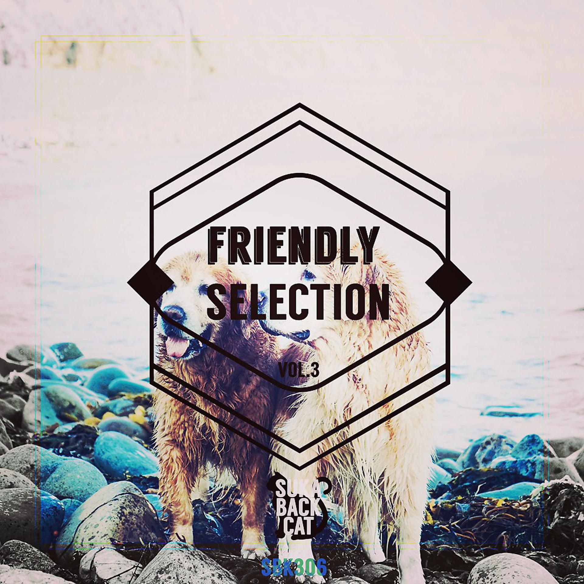 Постер альбома Friendly Selection, Vol. 3