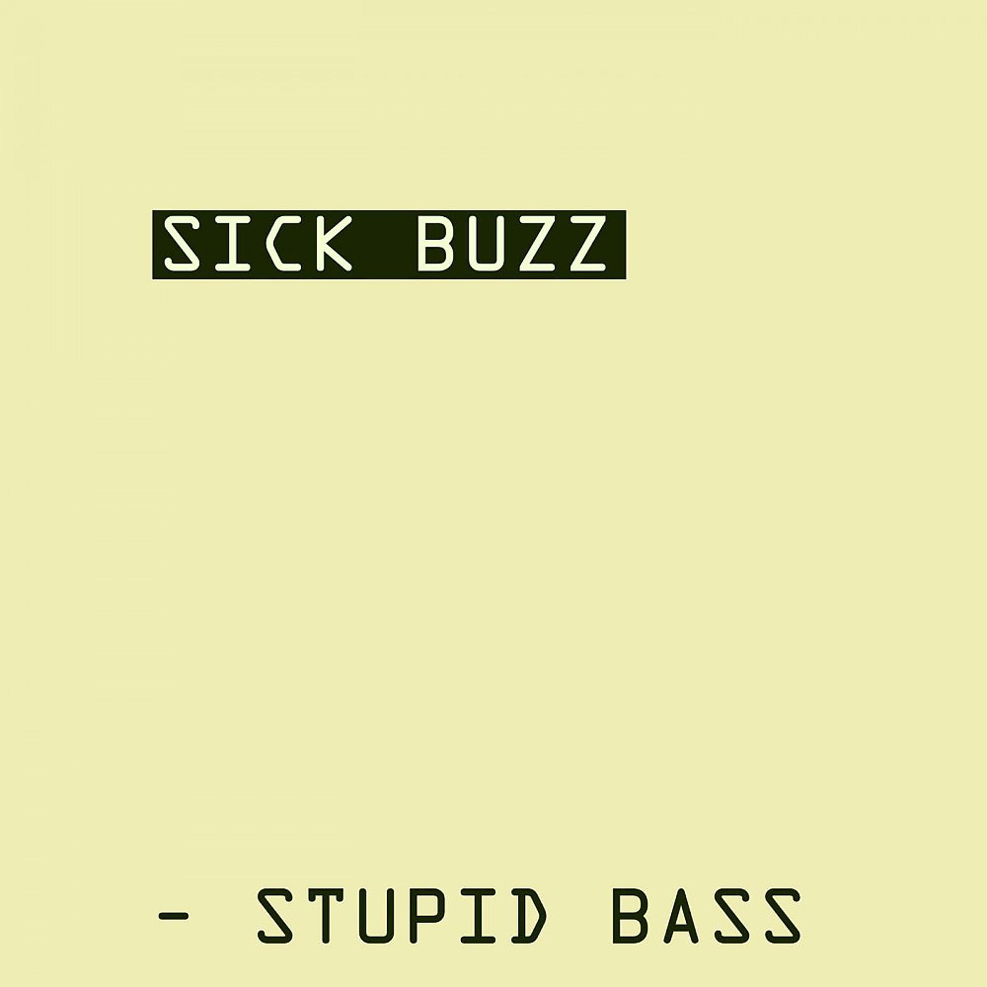 Постер альбома Stupid Bass