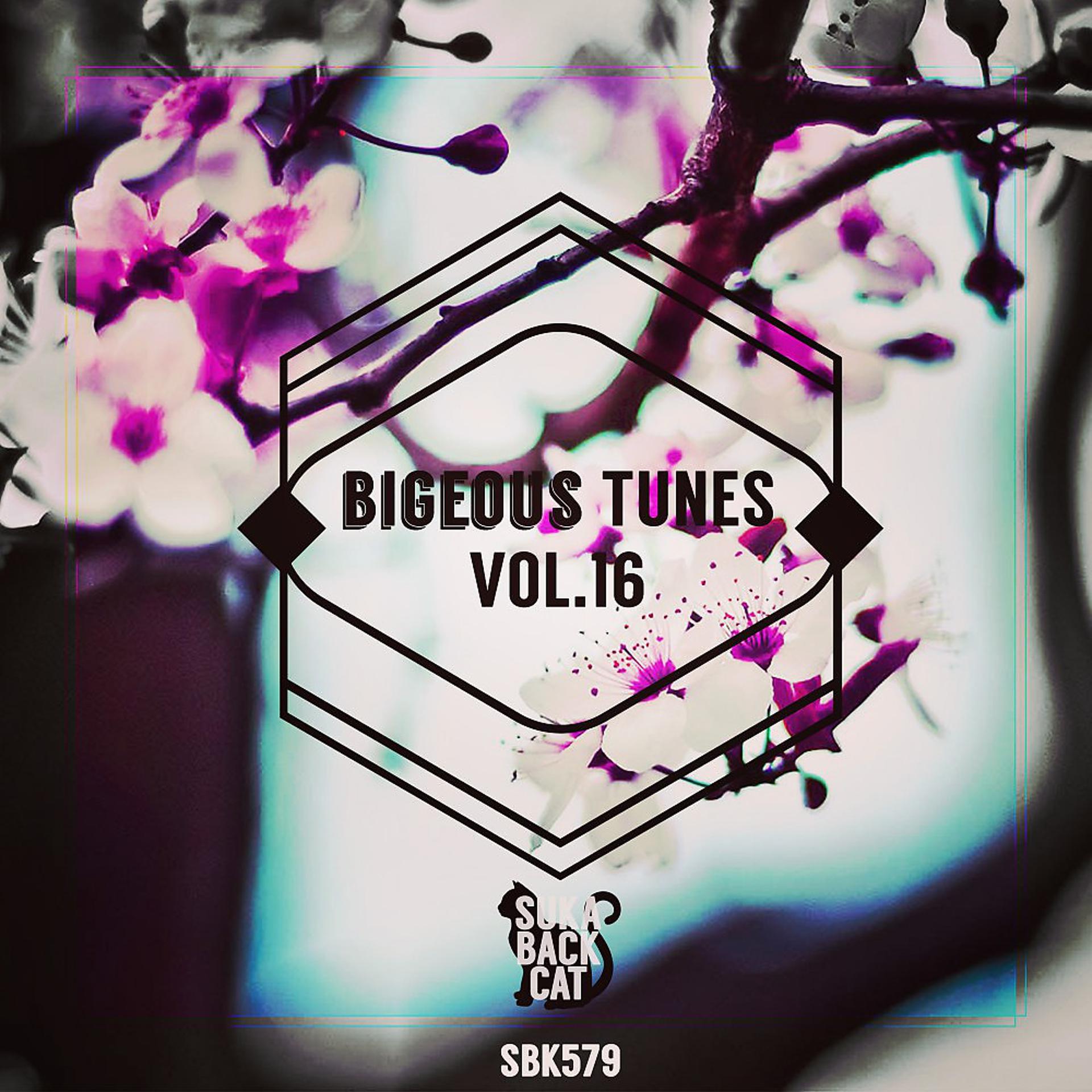 Постер альбома Bigeous Tunes, Vol. 16