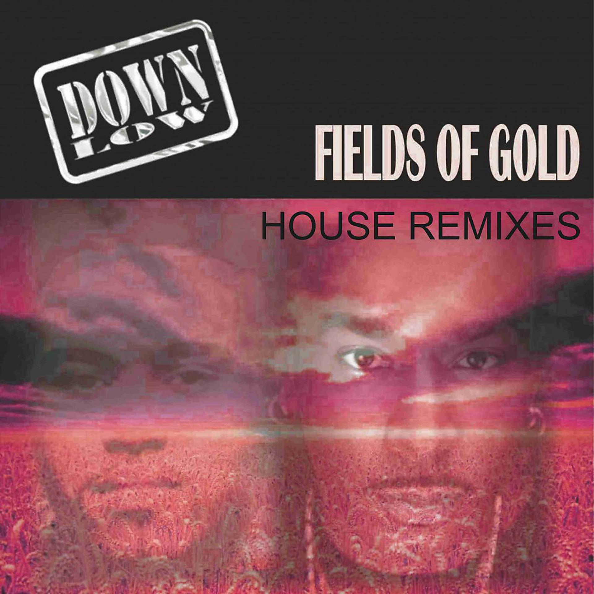 Постер альбома Fields of Gold (Remixes)