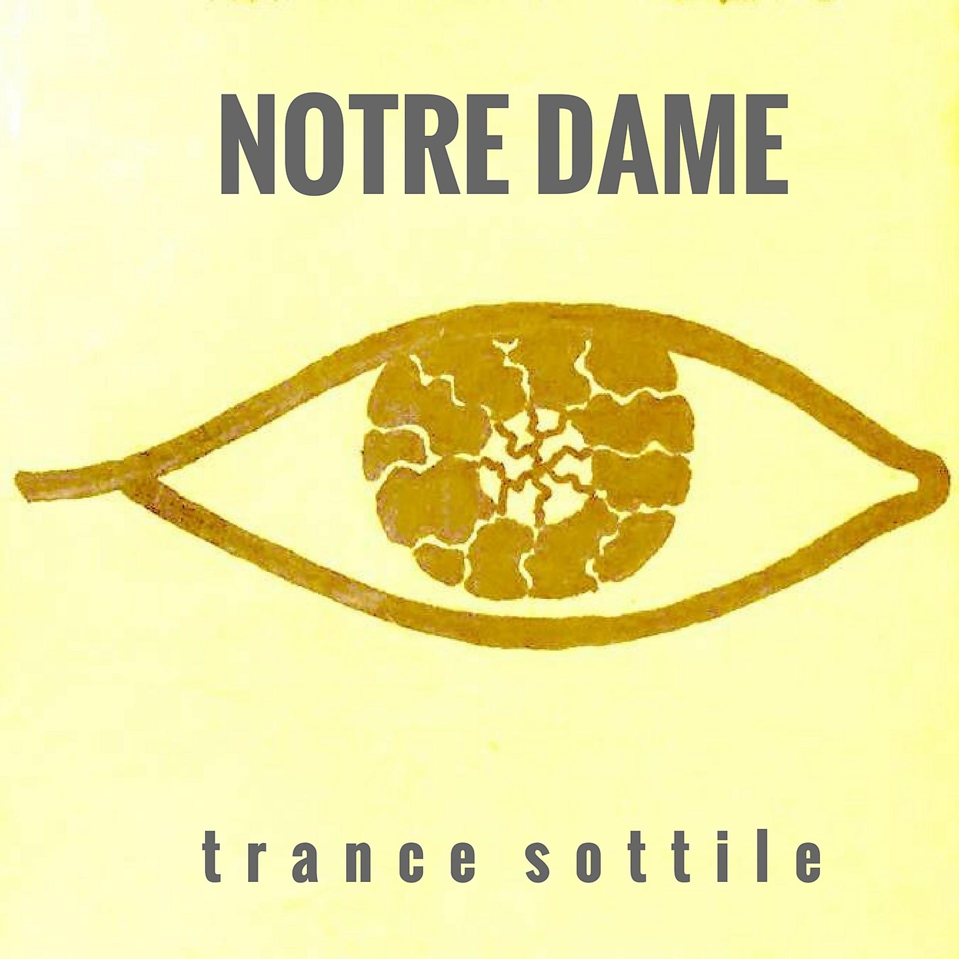 Постер альбома Trance sottile