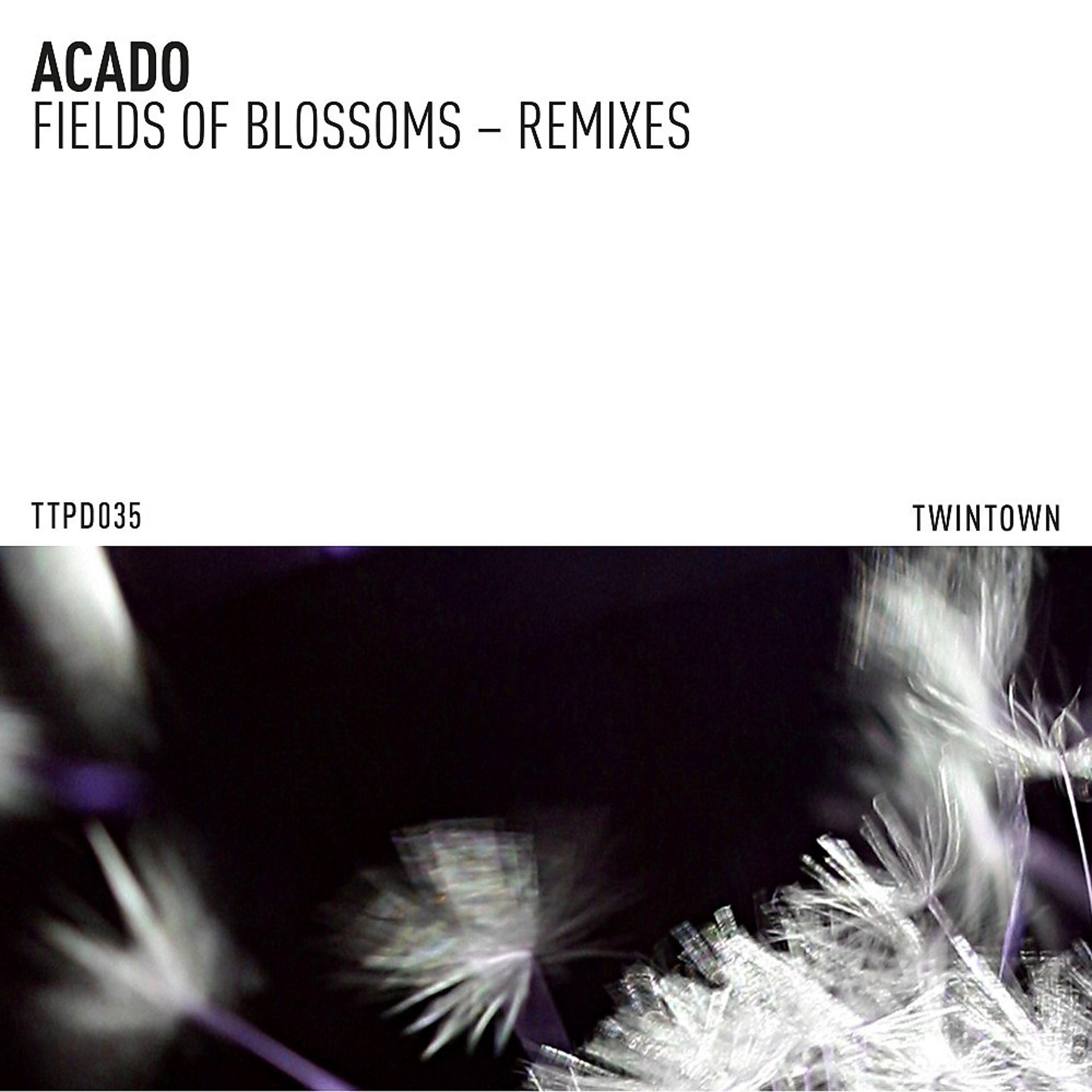 Постер альбома Fields of Blossoms (Remixes)