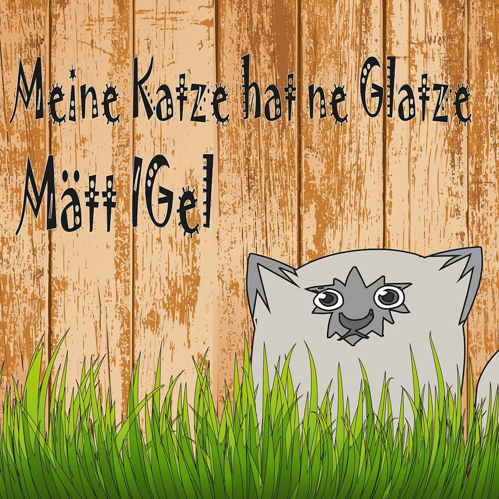 Постер альбома Meine Katze hat ne Glatze